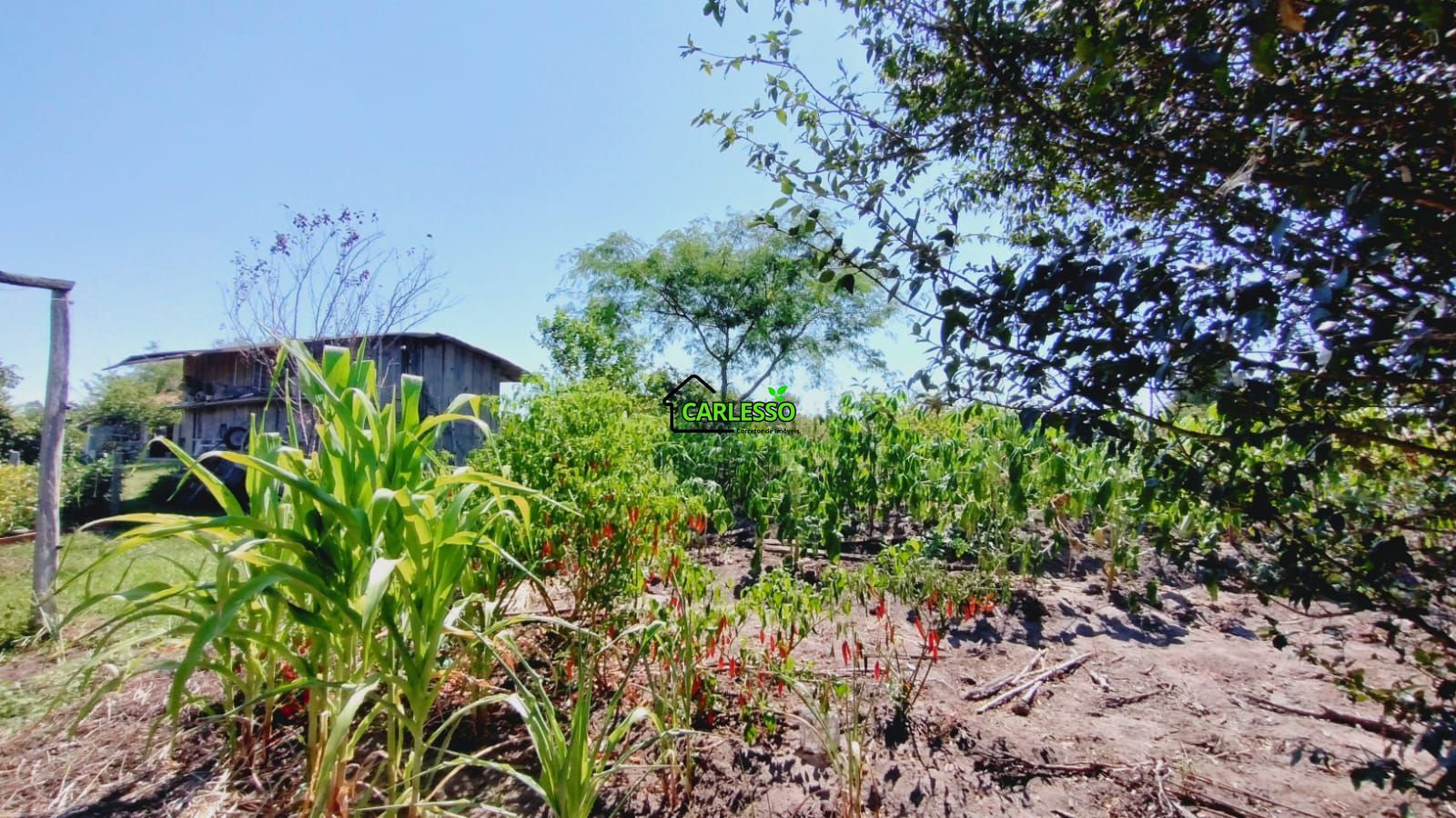 Sítio, 2 quartos, 7 hectares - Foto 30