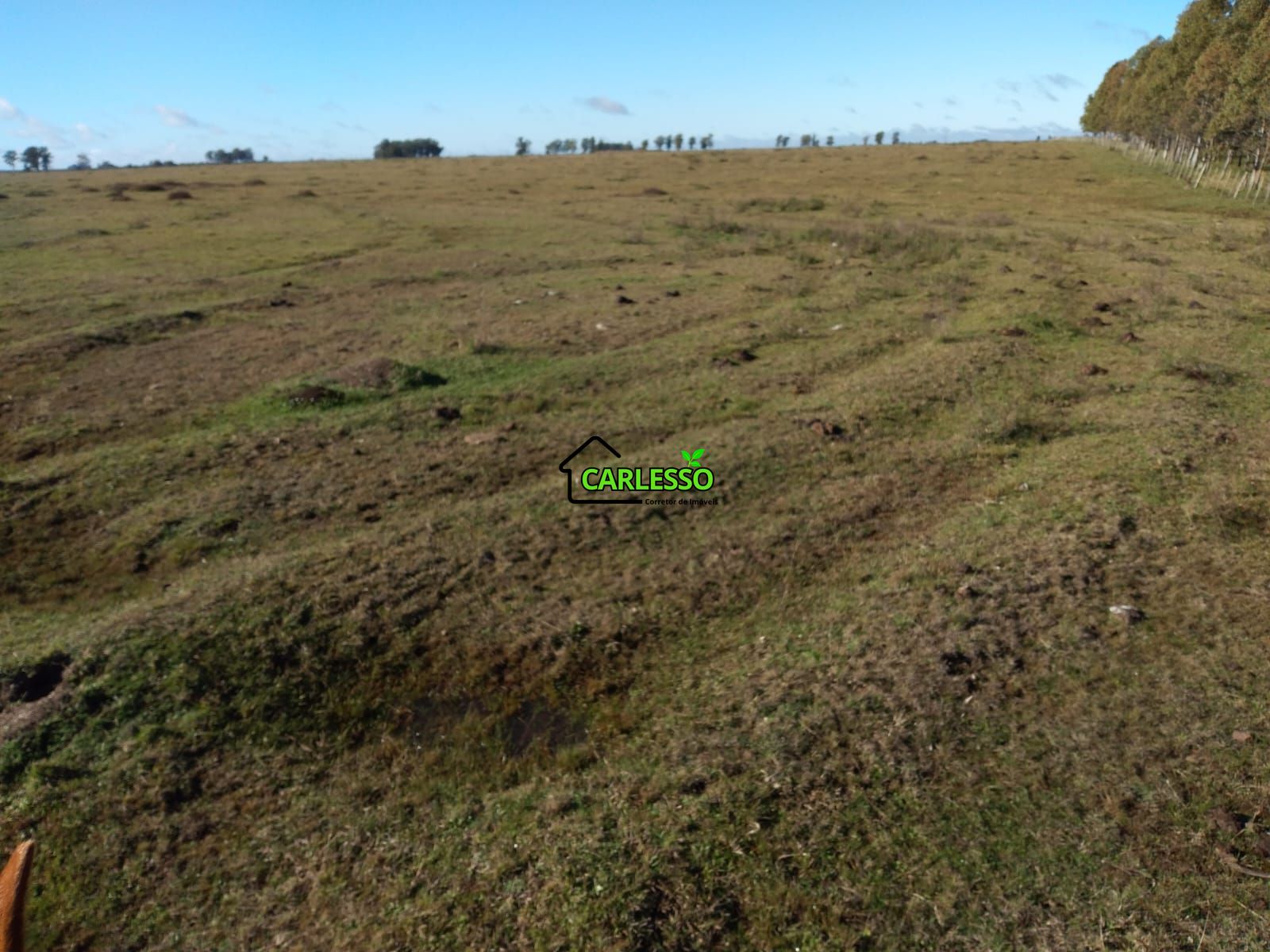 Fazenda de 65 ha