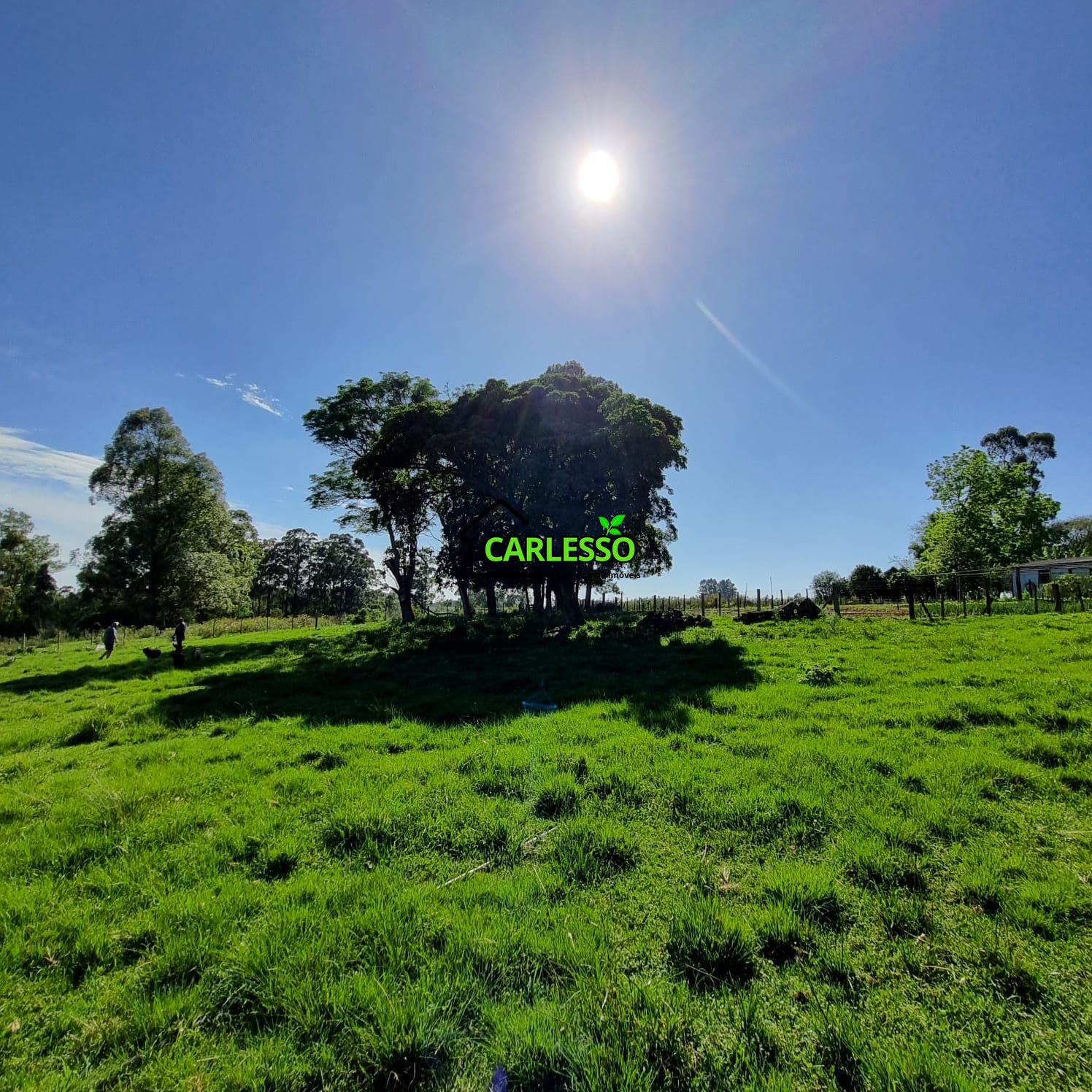 Chácara, 5 quartos, 7 hectares - Foto 22