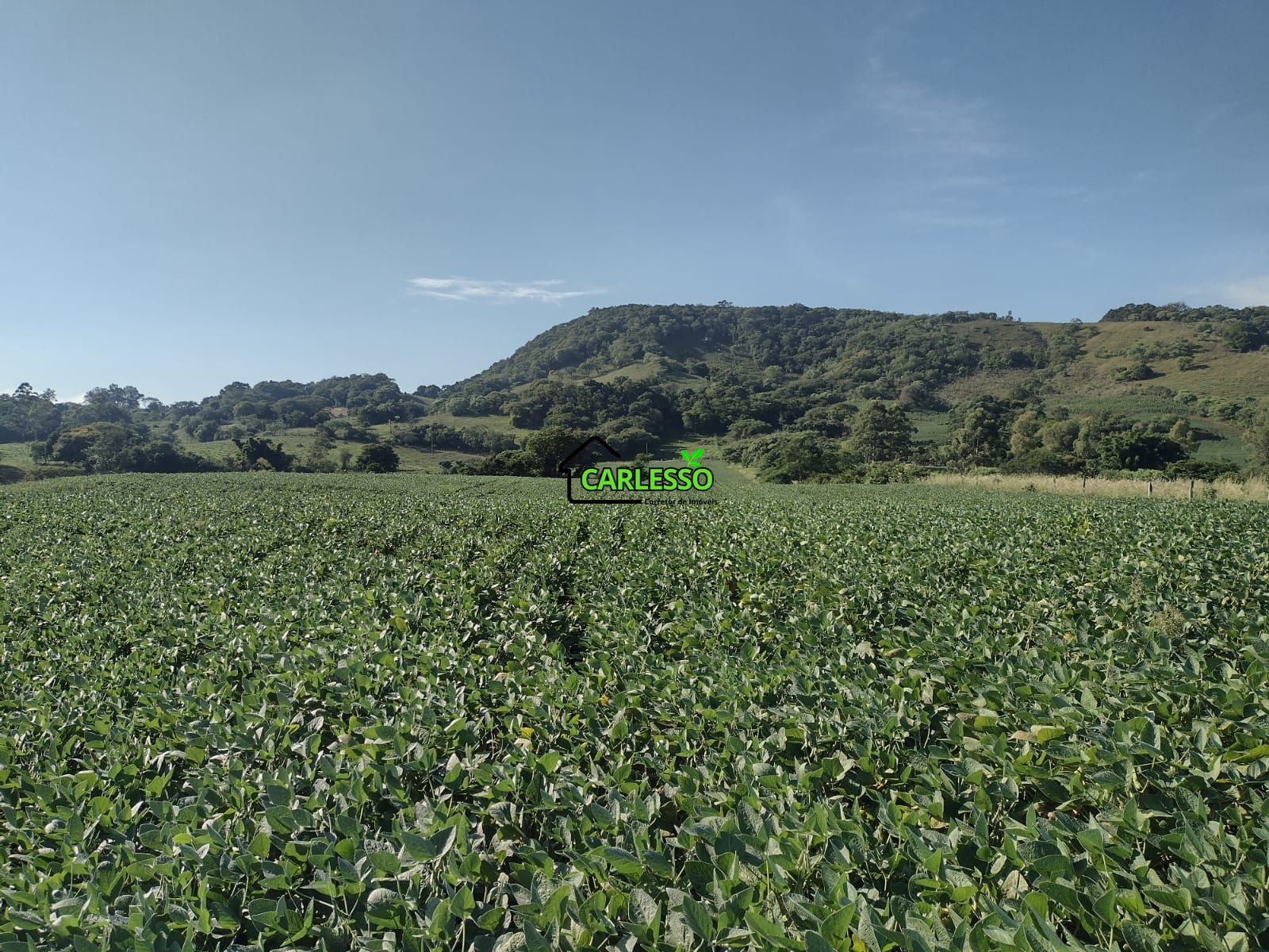 Área de 8,5 ha a venda