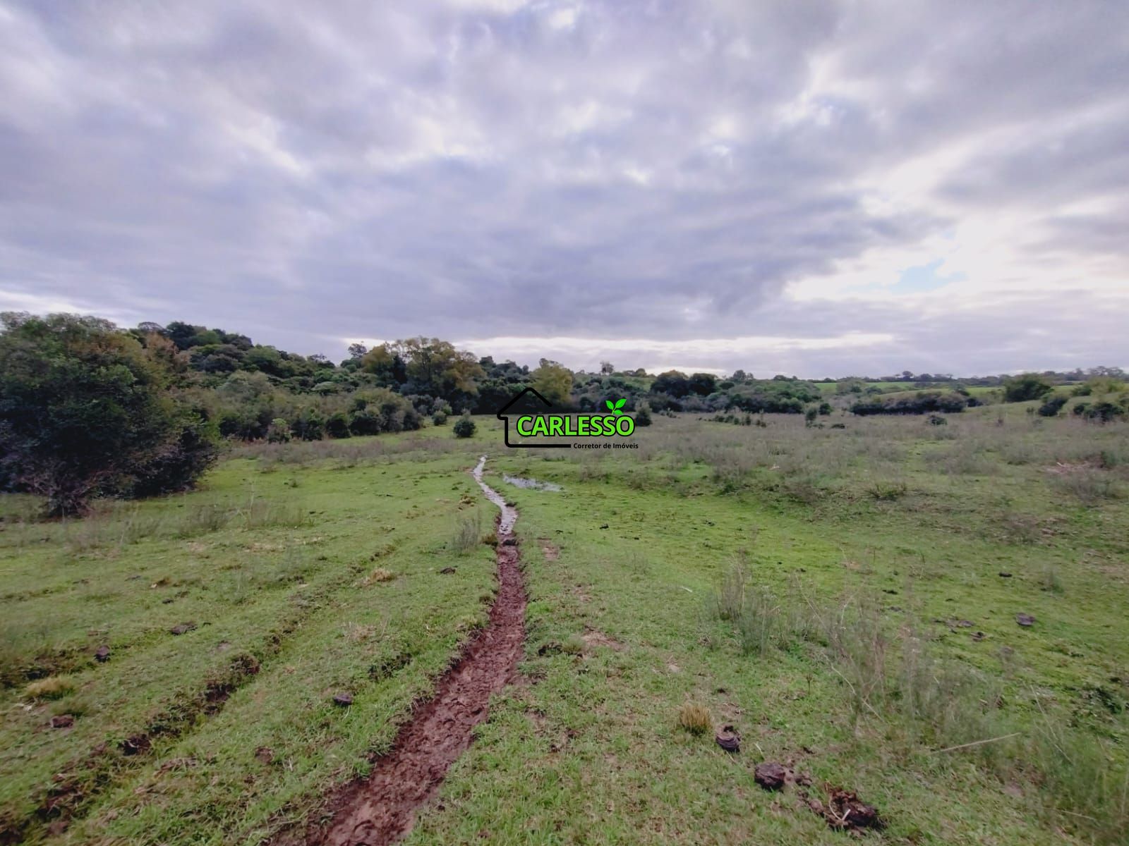 Terreno, 6 hectares - Foto 19