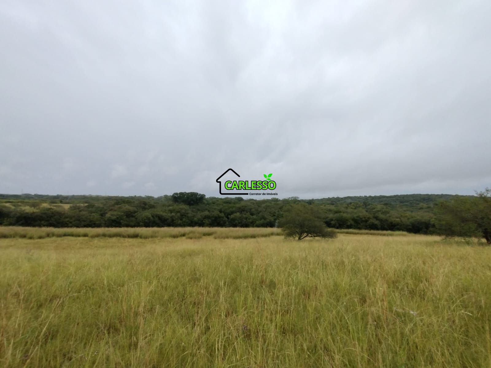 Fazenda de 80 ha em Alegrete
