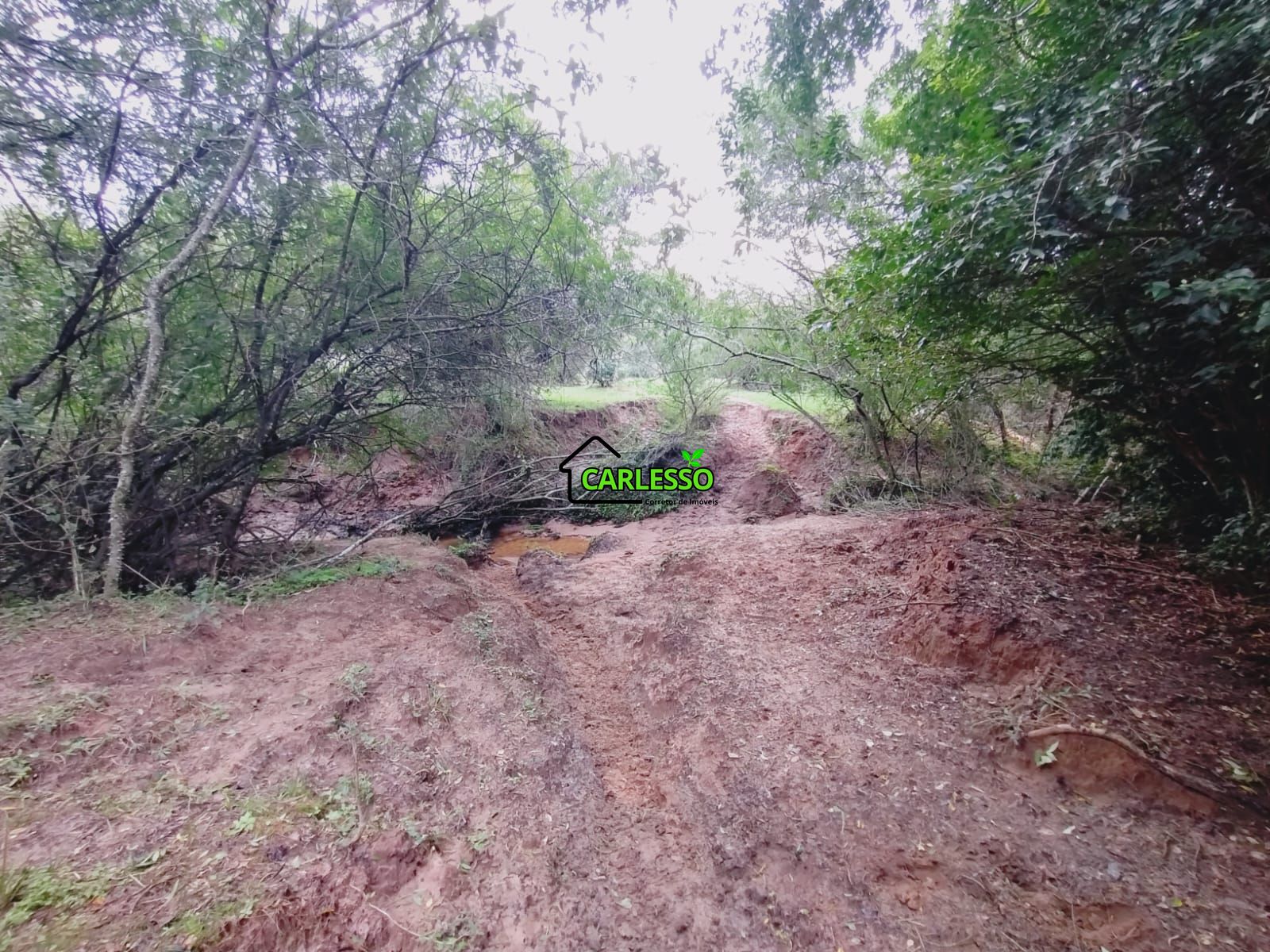 Terreno, 6 hectares - Foto 16