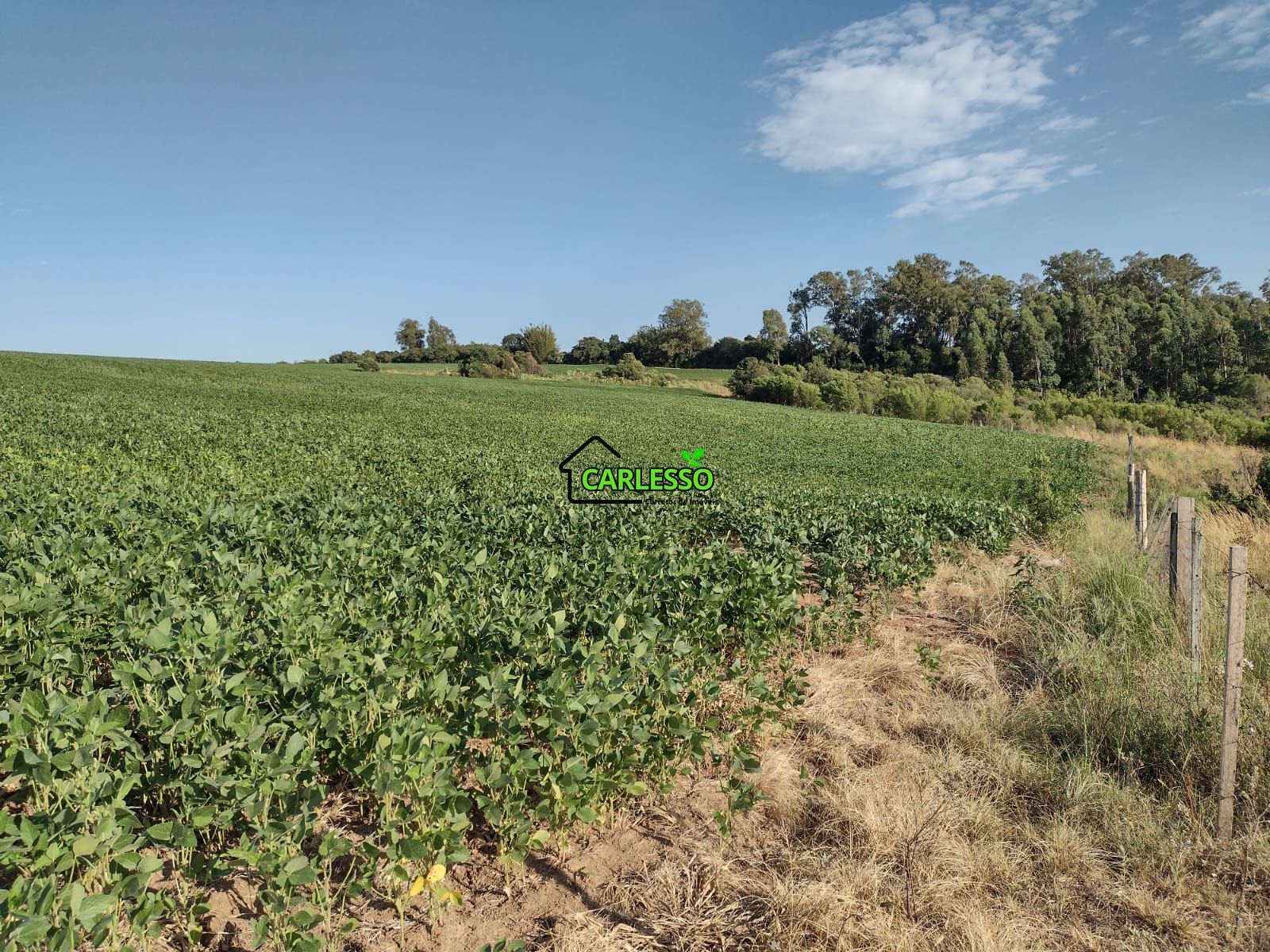 Fazenda com 63 ha