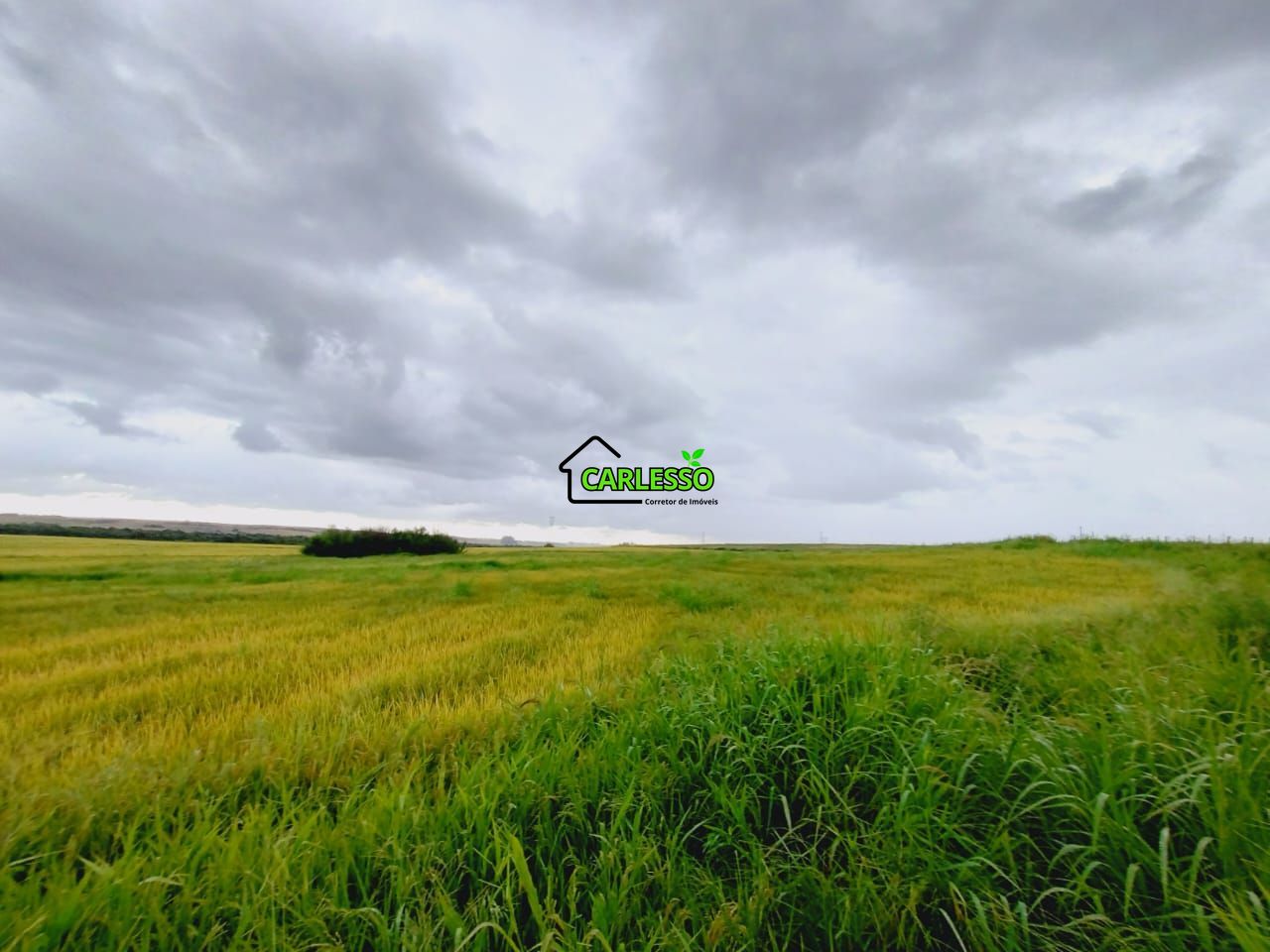 Fazenda, 119 hectares - Foto 20