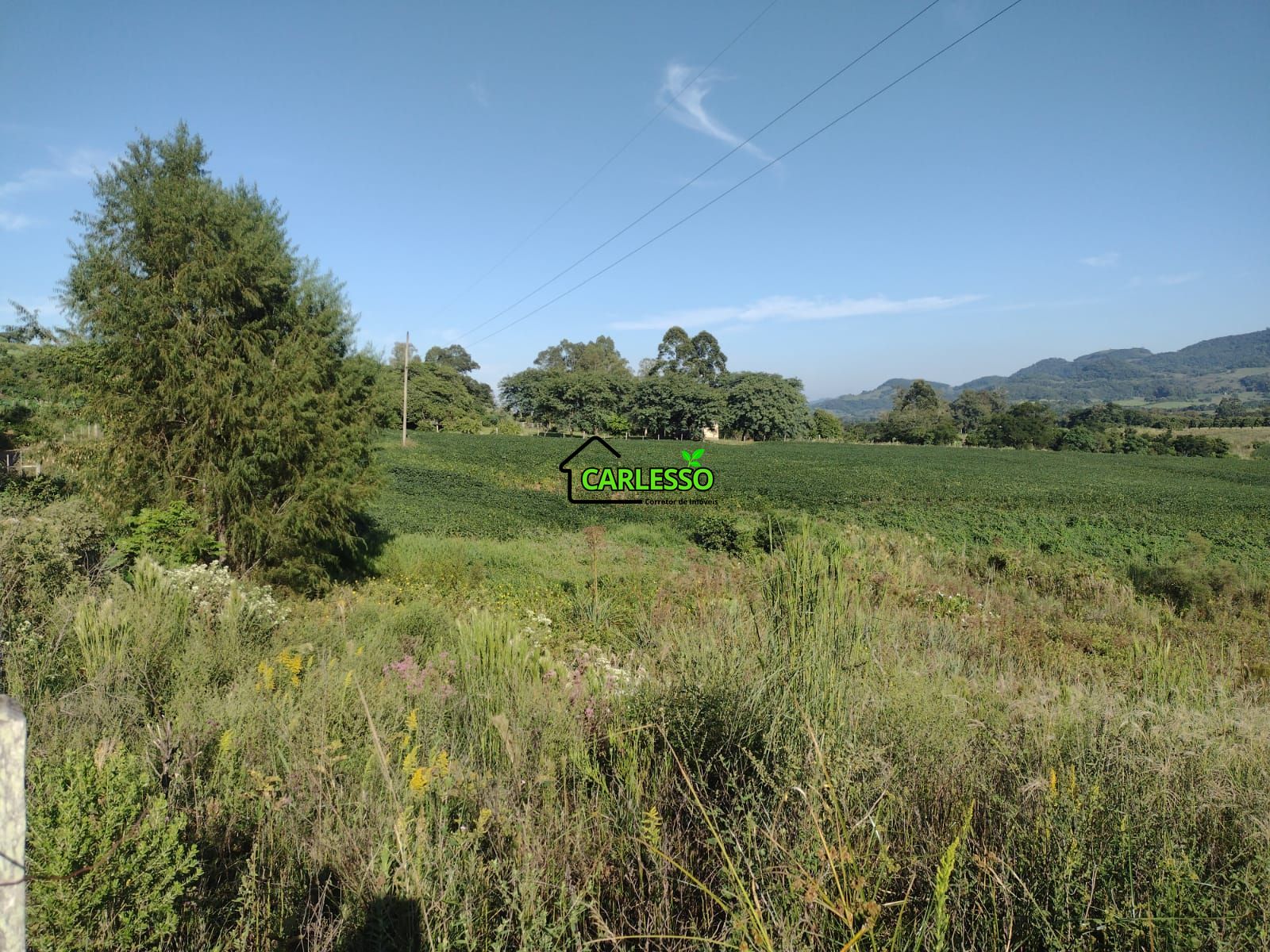 Área de 8,5 ha a venda