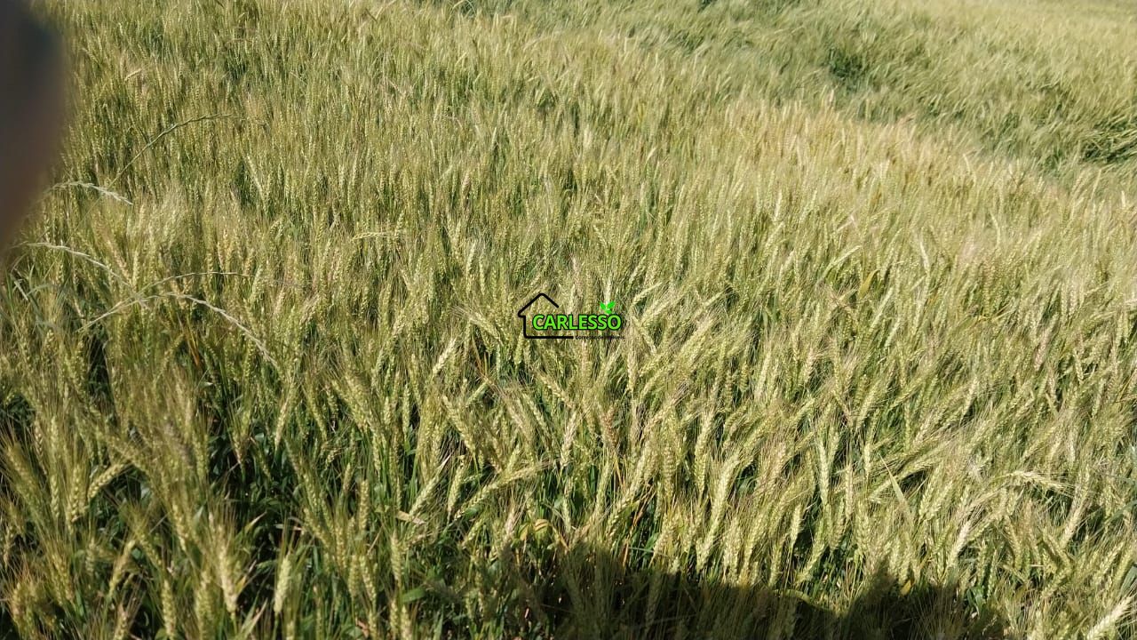 Área de 11,4 ha com casa