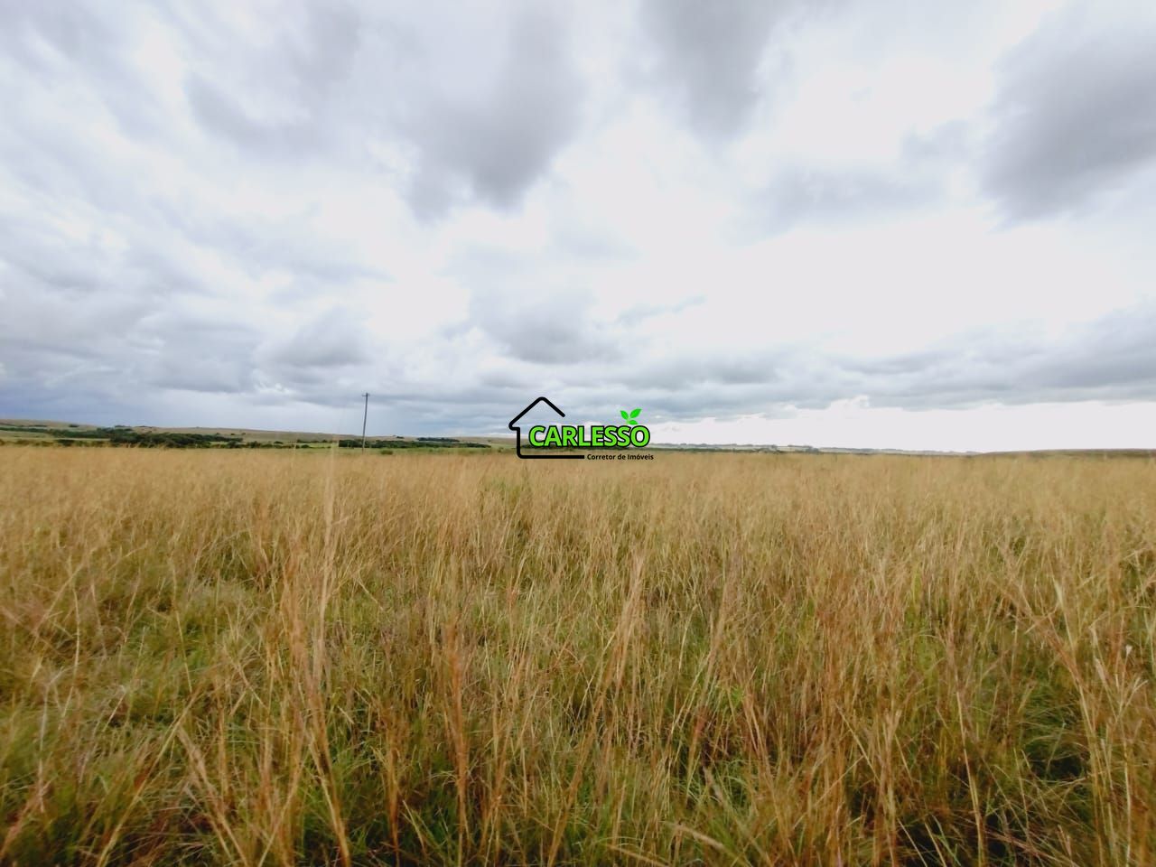 Fazenda, 119 hectares - Foto 3