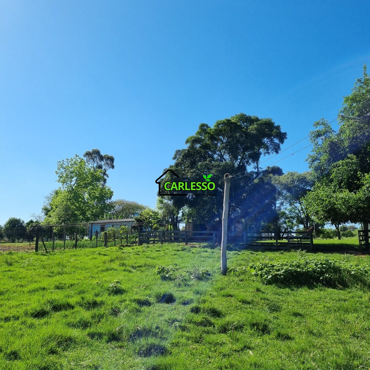 Chácara, 5 quartos, 7 hectares - Foto 13