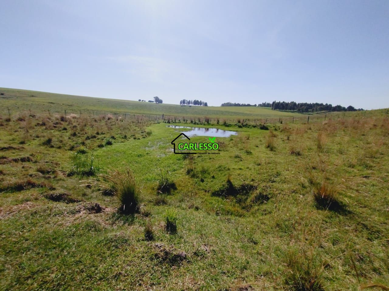 Chácara, 2 quartos, 2 hectares - Foto 58