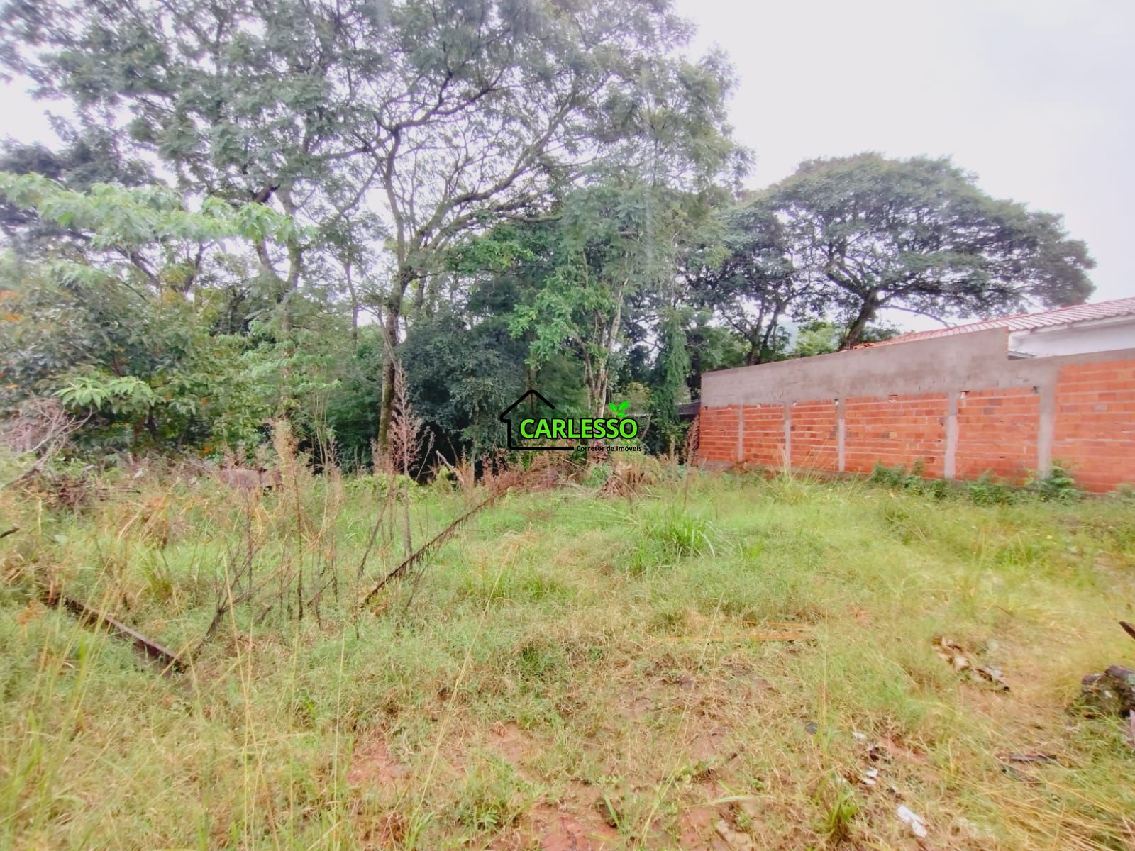 Terreno, 2668 m² - Foto 7