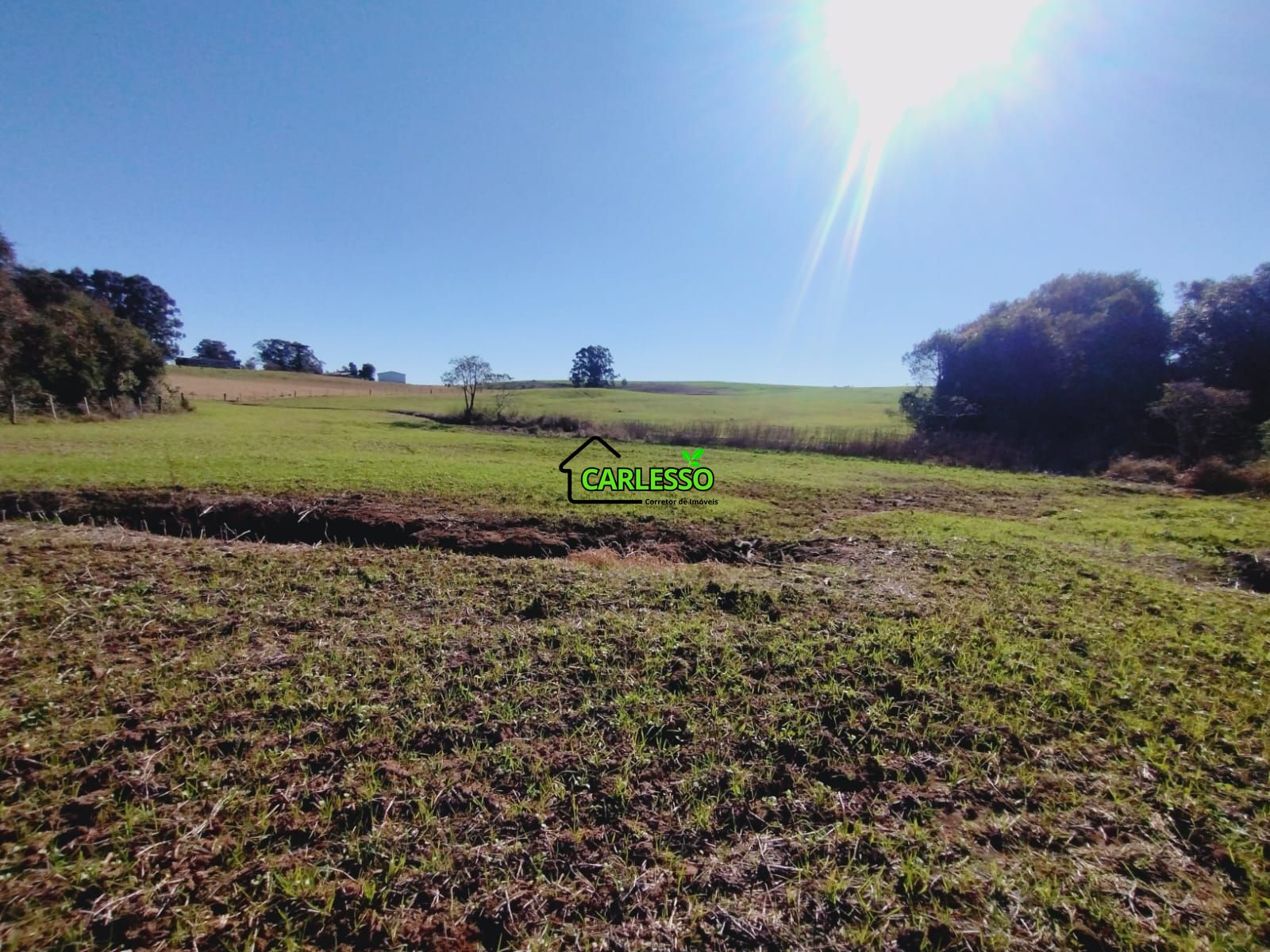 Sítio, 19 hectares - Foto 44