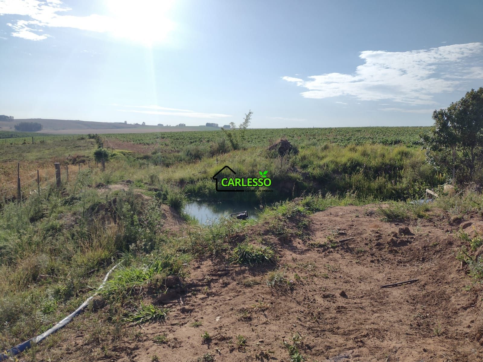 Fazenda com 63 ha