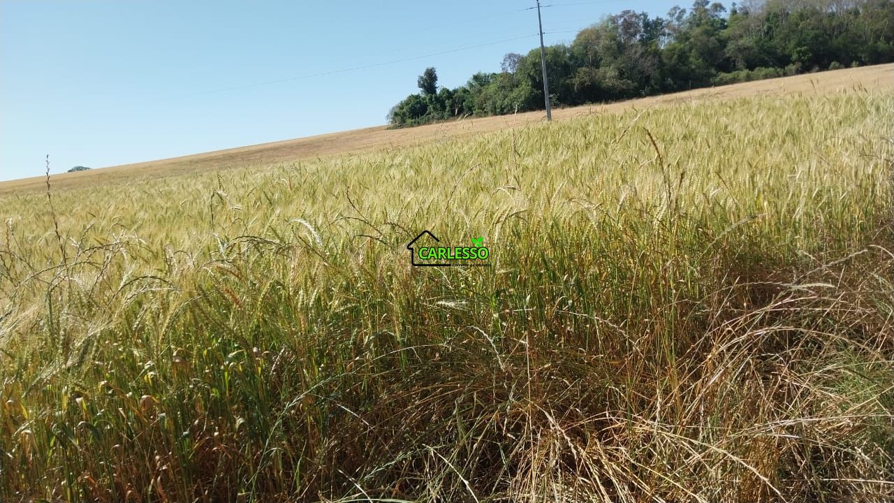 Área de 11,4 ha com casa