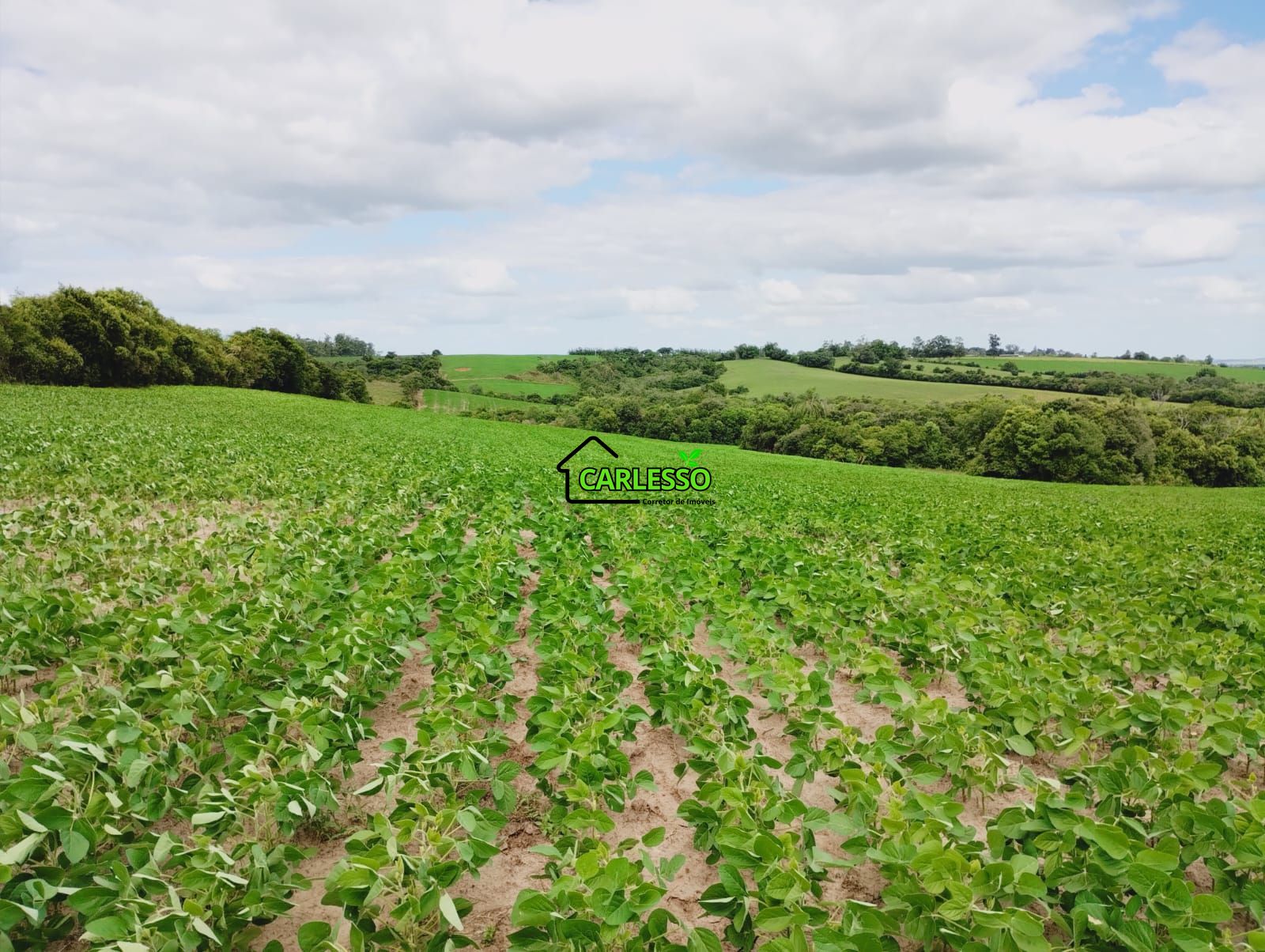 Sítio, 25 hectares - Foto 74