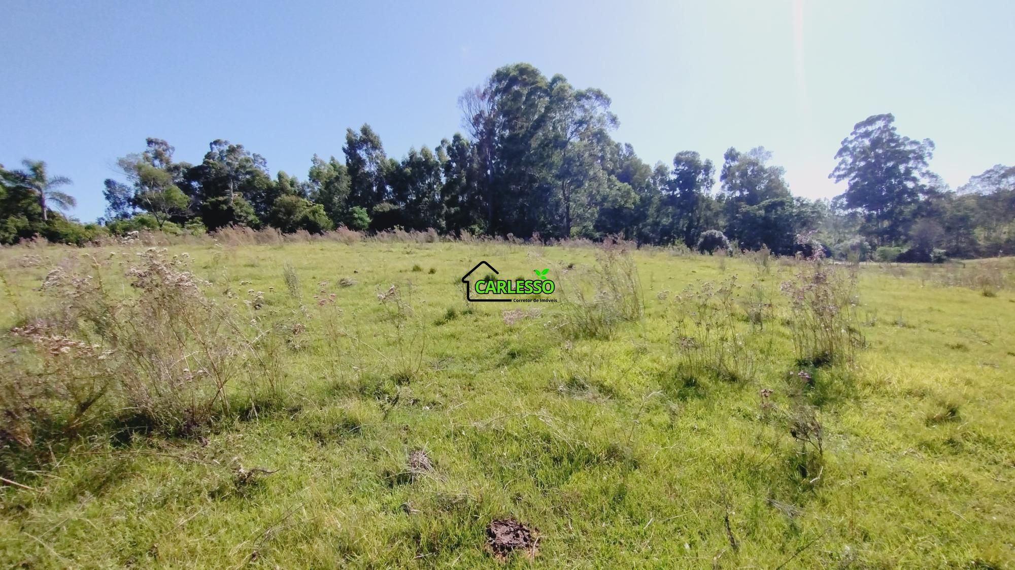 Sítio, 18 hectares - Foto 8