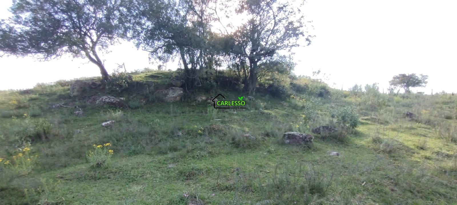 Área rural de 5 ha