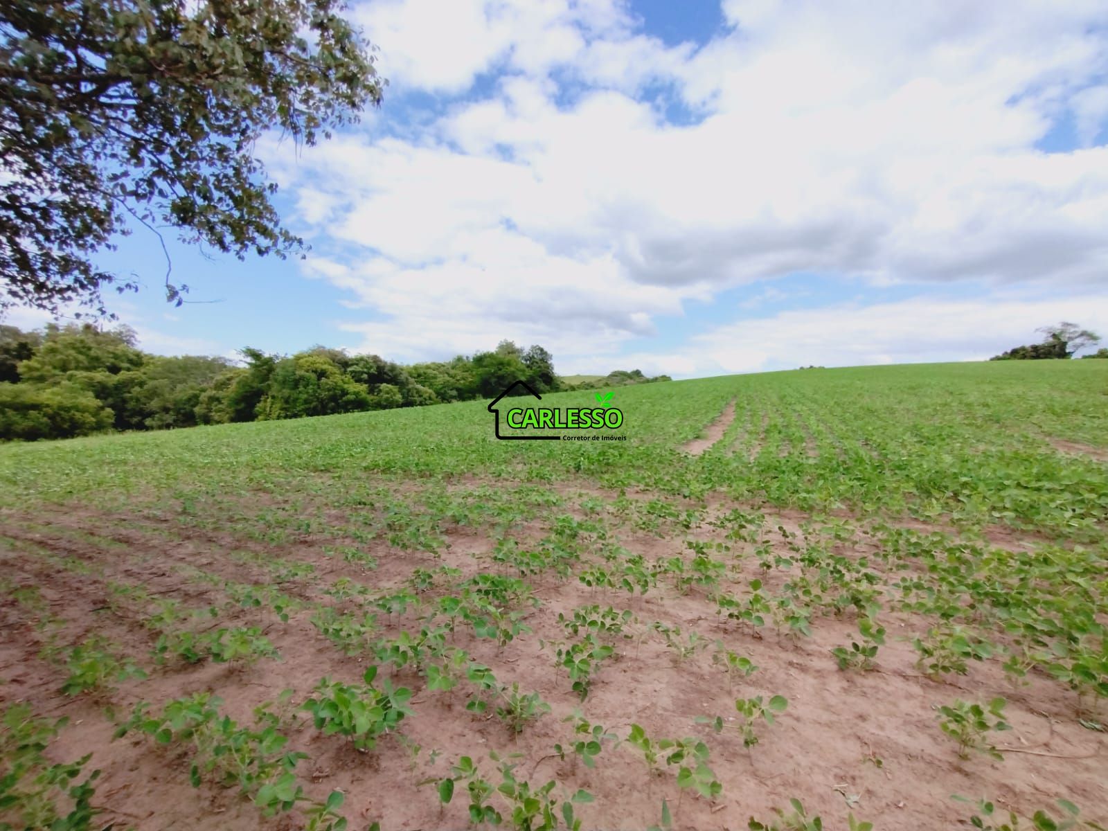 Sítio, 25 hectares - Foto 26