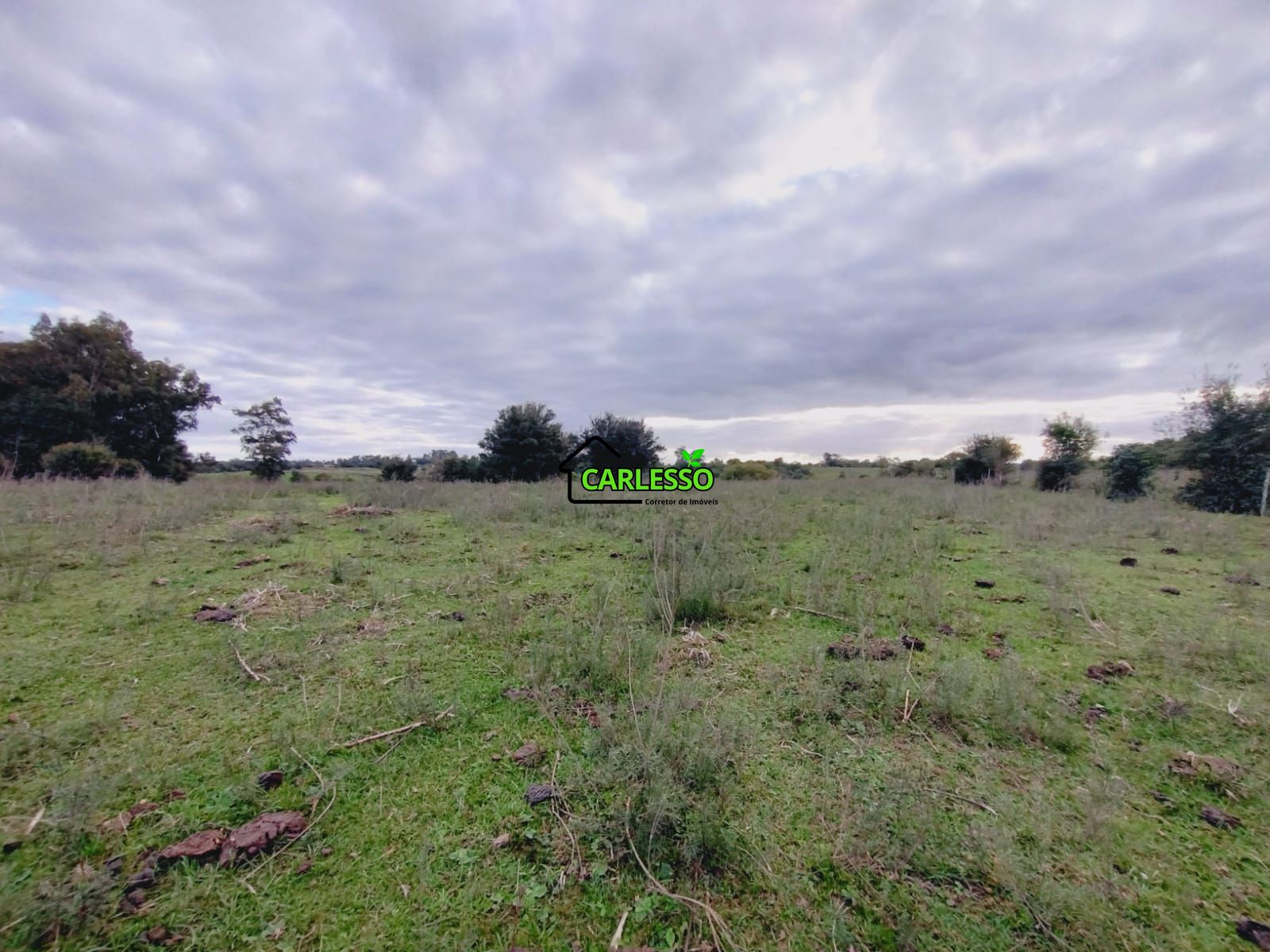 Terreno, 6 hectares - Foto 24