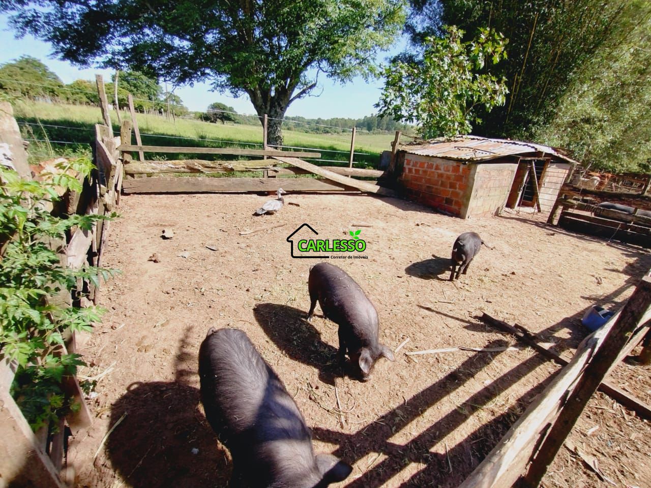 Chácara, 2 quartos, 2 hectares - Foto 20