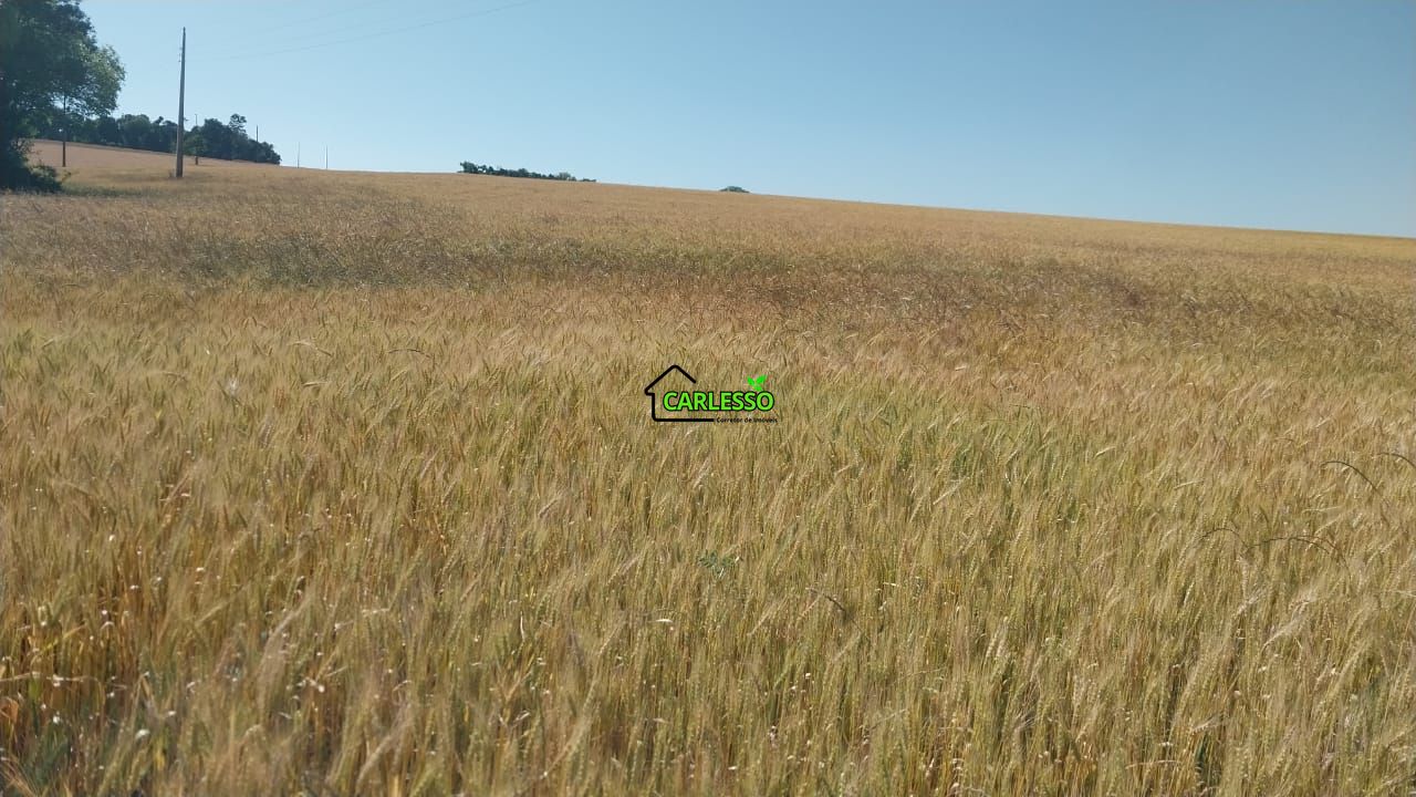 Área de 11,4 ha com casa