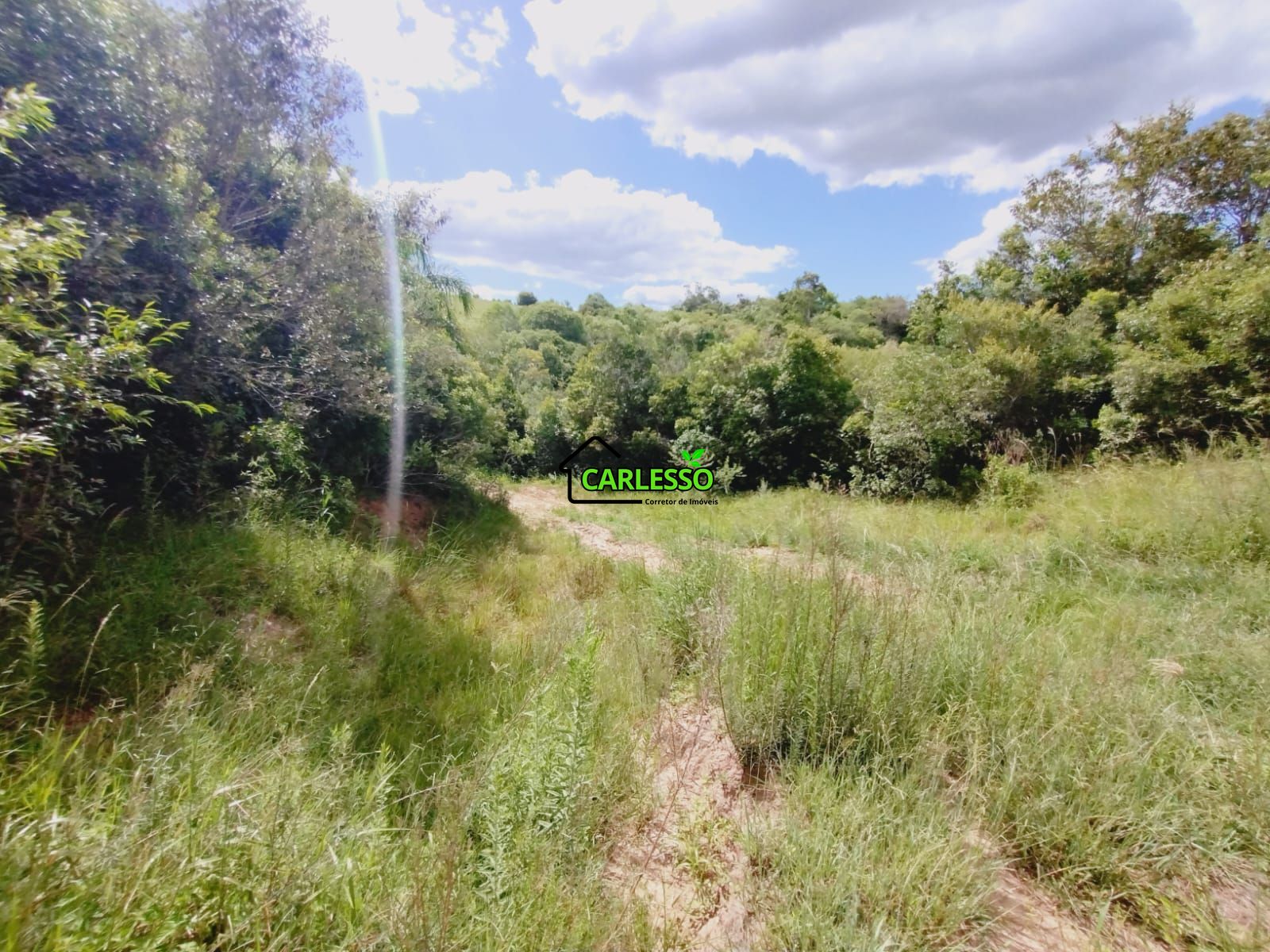 Sítio, 25 hectares - Foto 38