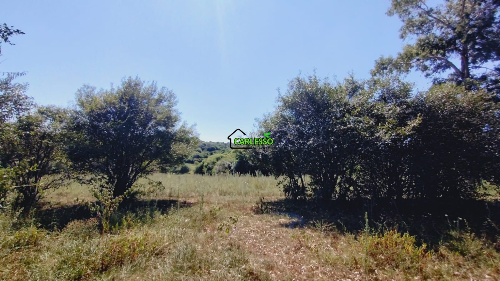 Sítio, 2 quartos, 7 hectares - Foto 50