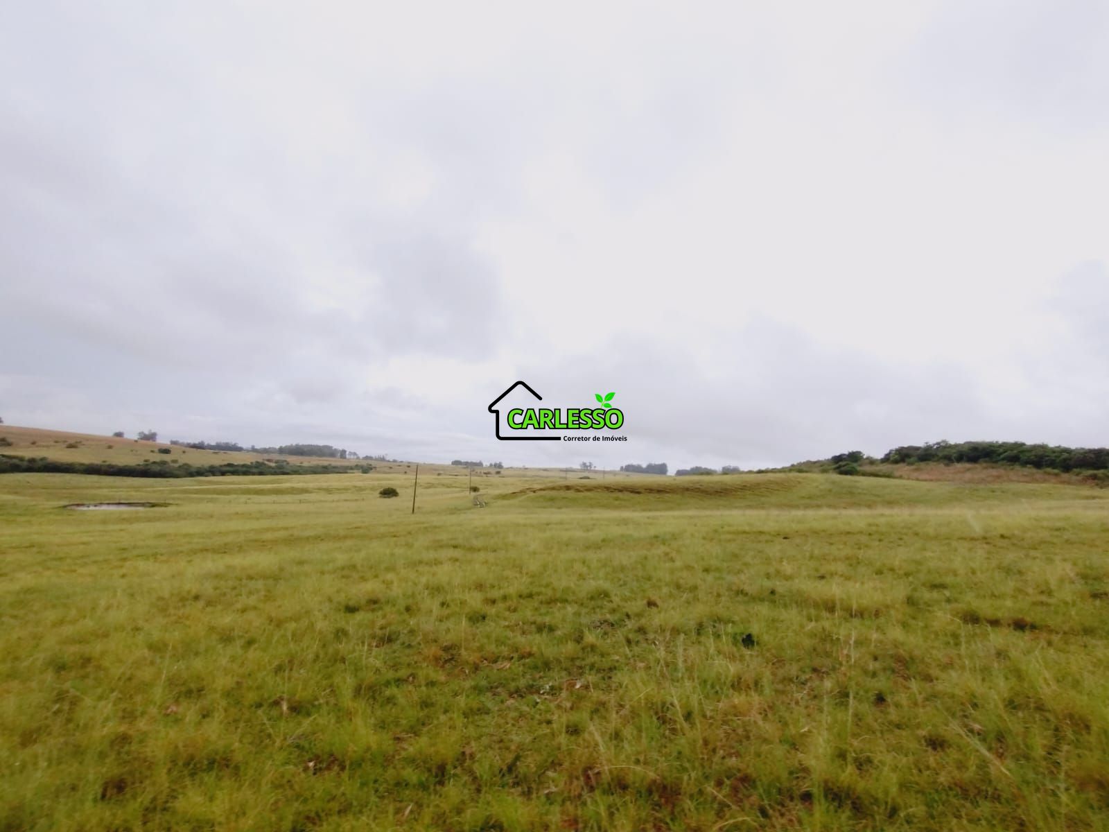 Fazenda de 80 ha em Alegrete