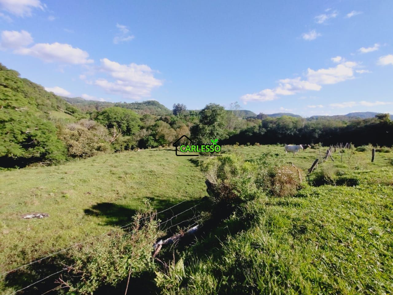 Chácara, 2 quartos, 7 hectares - Foto 29