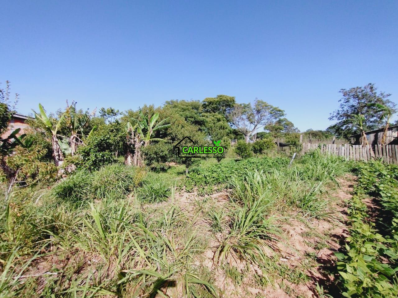 Chácara, 2 quartos, 2 hectares - Foto 15