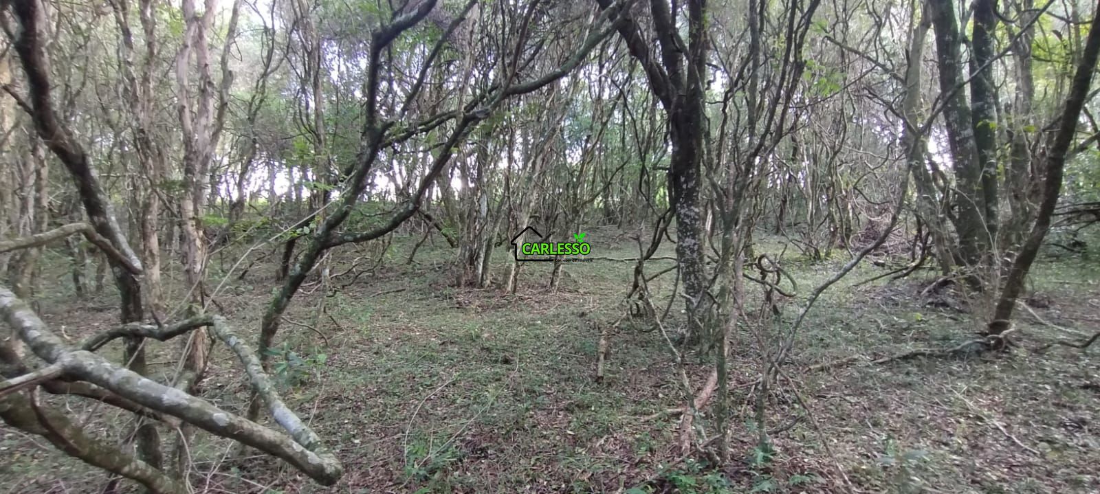 Área rural de 5 ha
