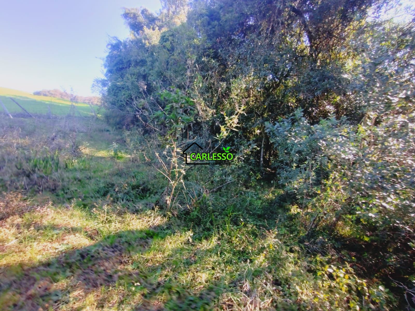 Sítio, 19 hectares - Foto 28