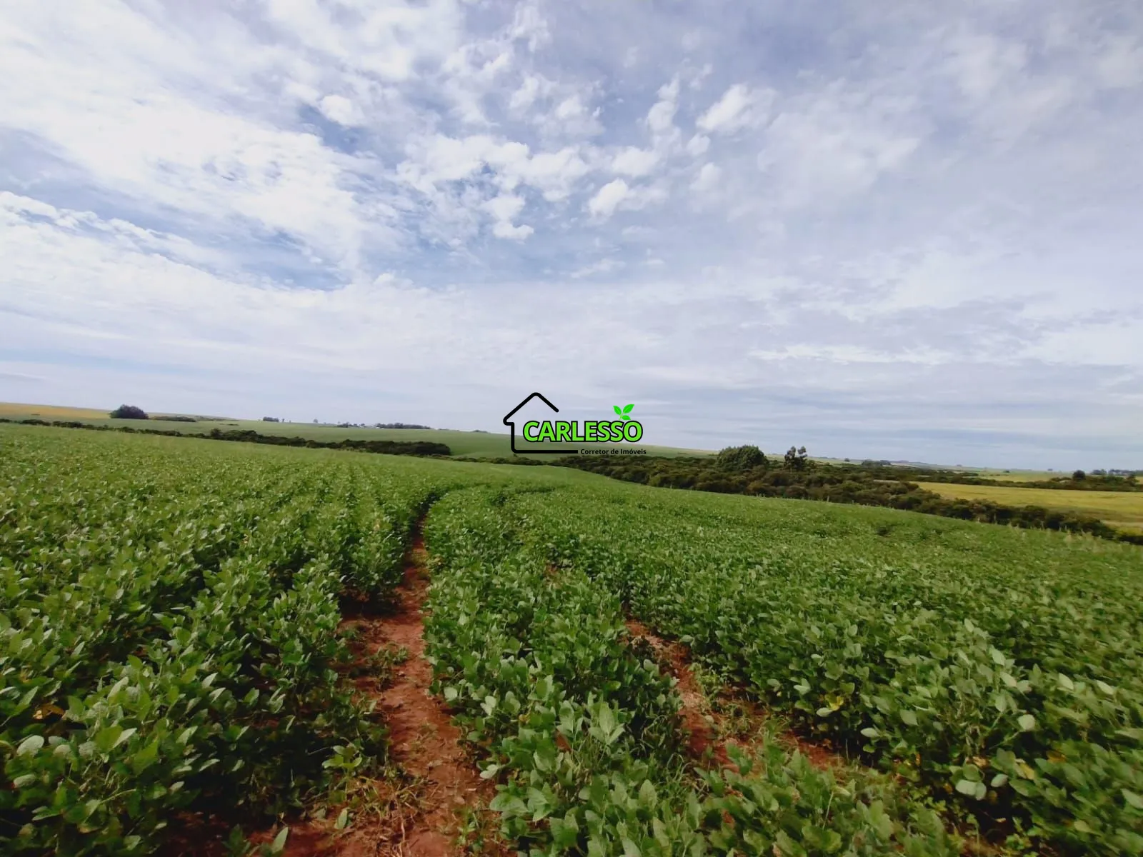 Sítio, 3 quartos, 25 hectares - Foto 38