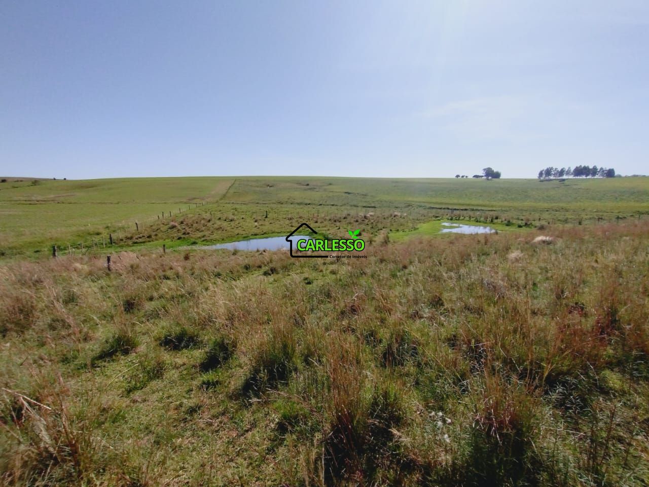 Chácara, 2 quartos, 2 hectares - Foto 53