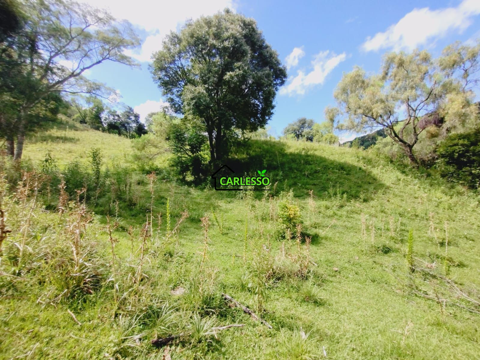 Sítio, 23 hectares - Foto 16