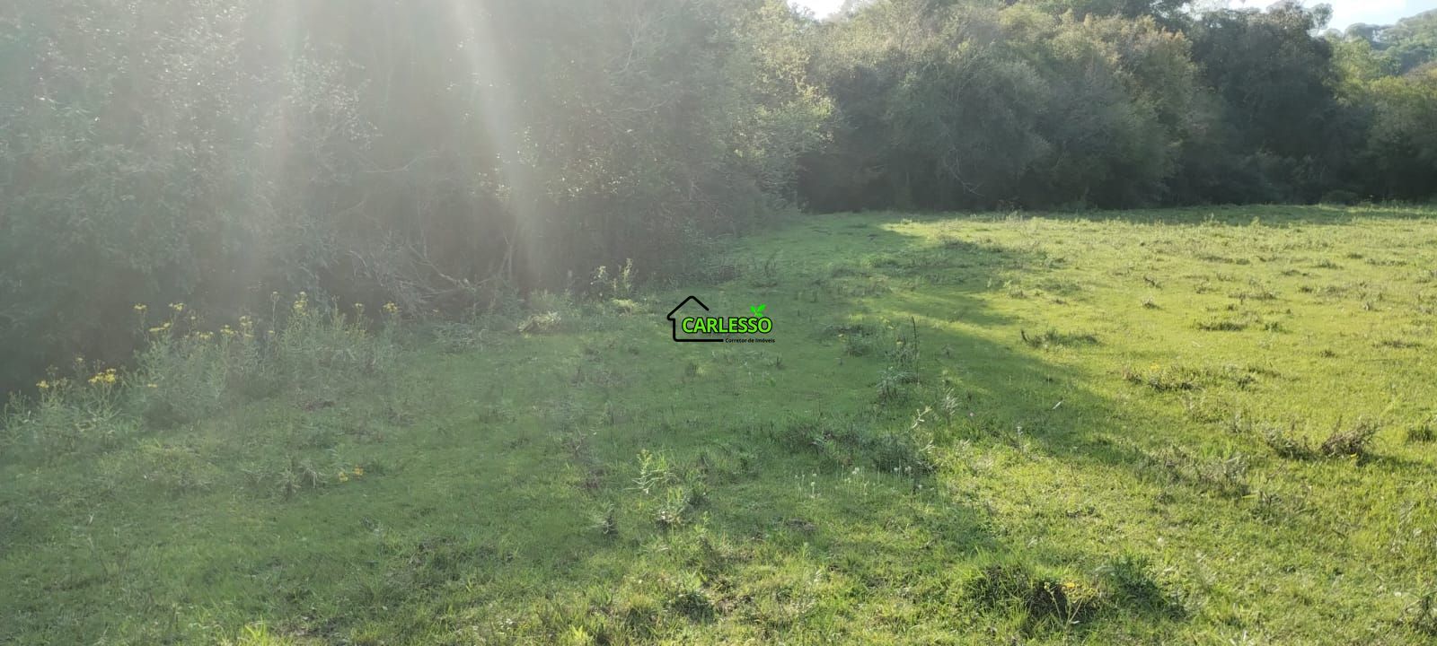 Área rural de 5 ha