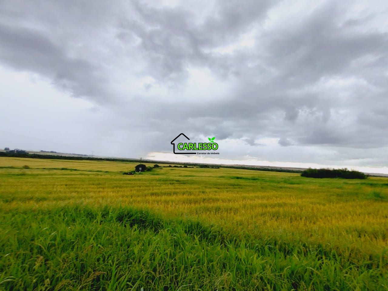 Fazenda, 119 hectares - Foto 22