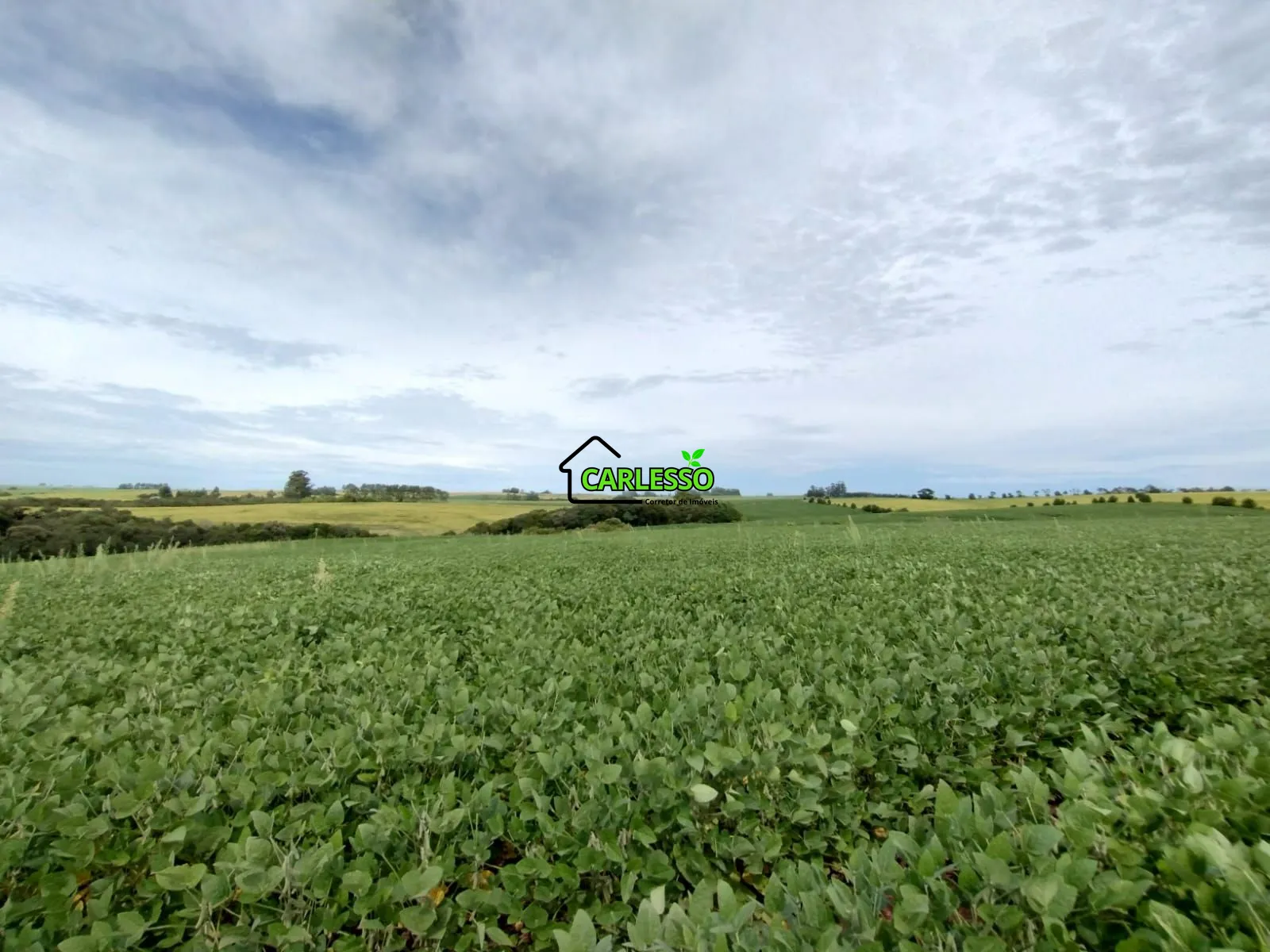 Sítio, 3 quartos, 25 hectares - Foto 45
