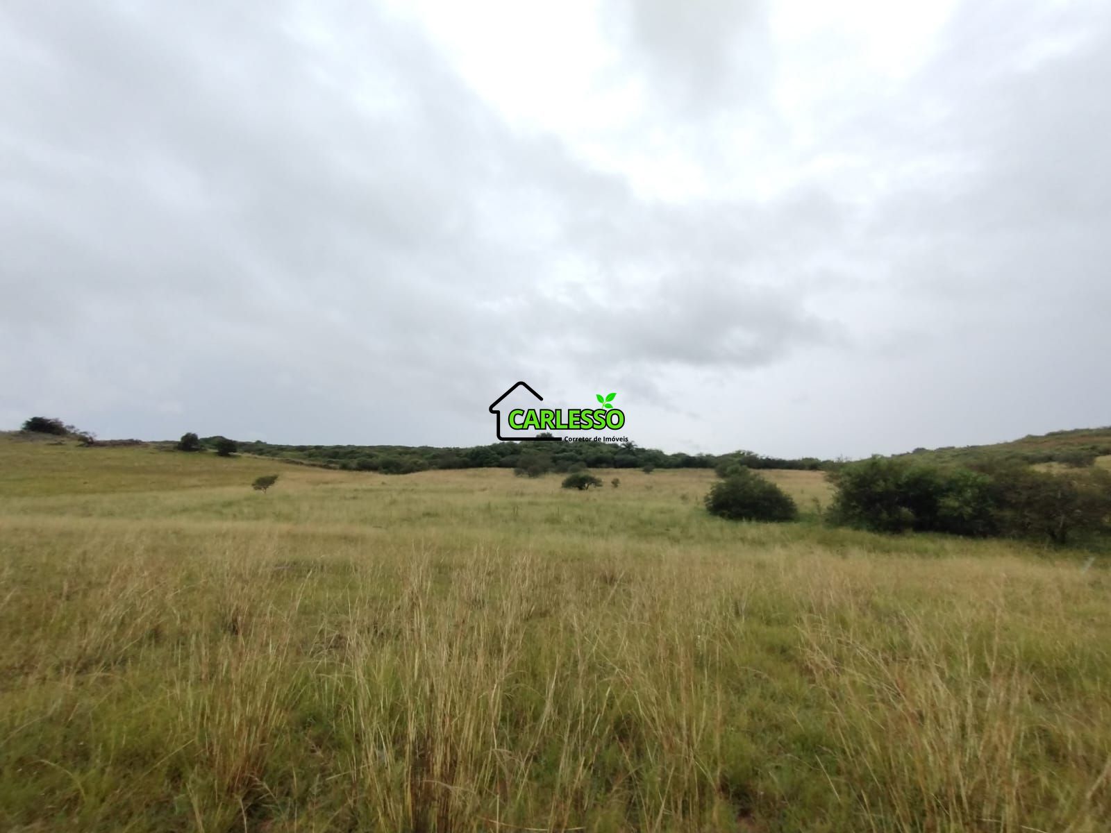 Fazenda de 80 ha em Alegrete
