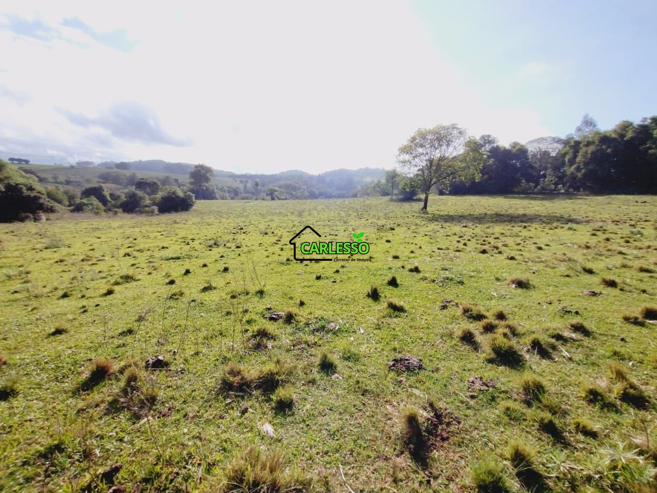 Chácara, 9 hectares - Foto 49