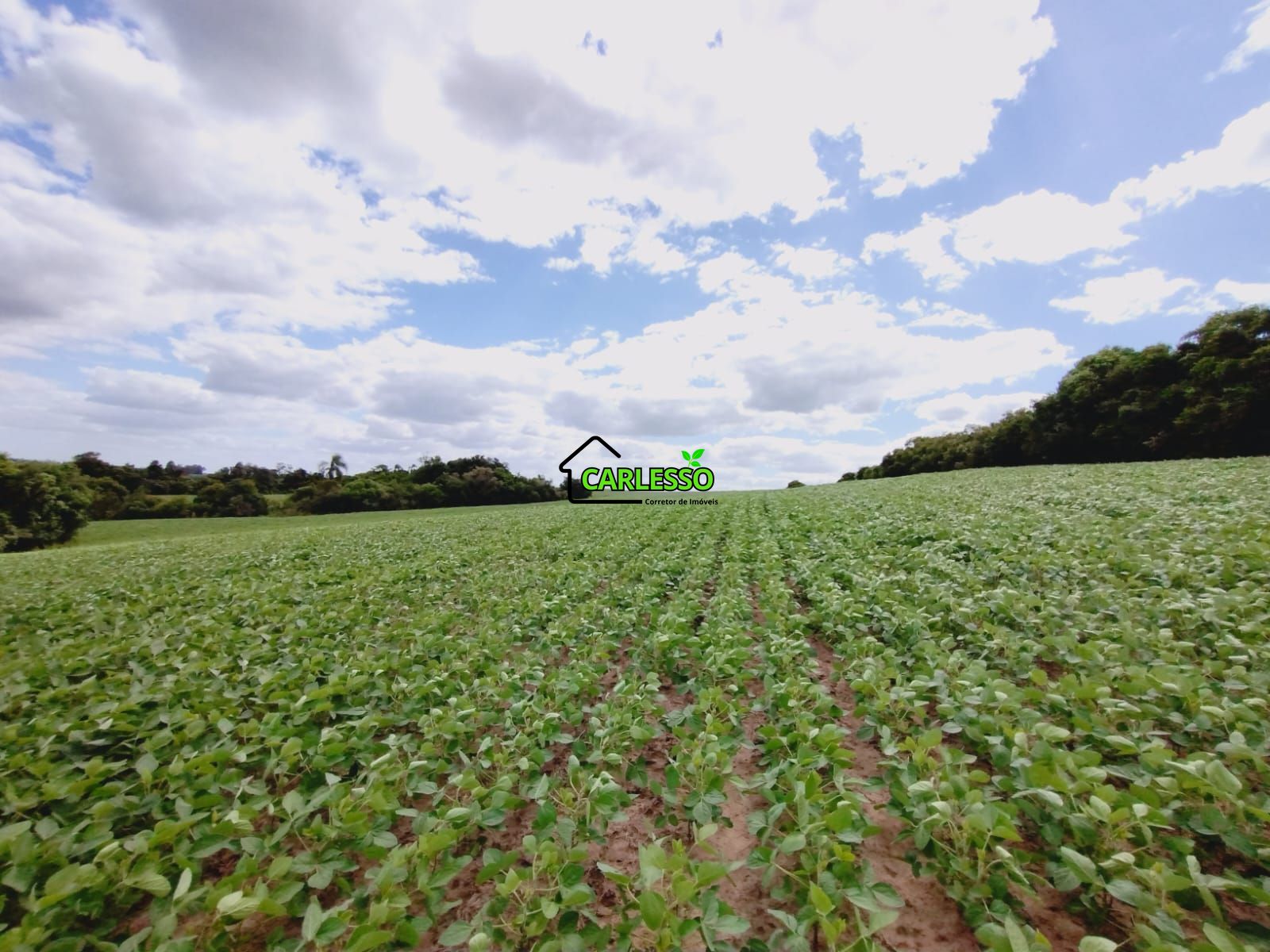 Sítio, 25 hectares - Foto 44