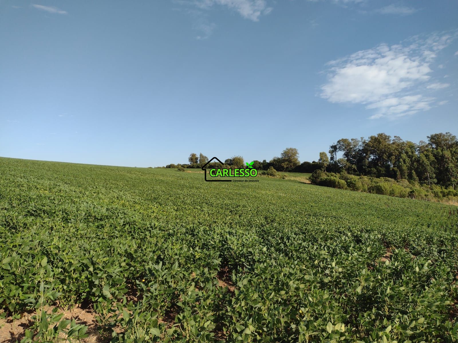 Fazenda com 63 ha