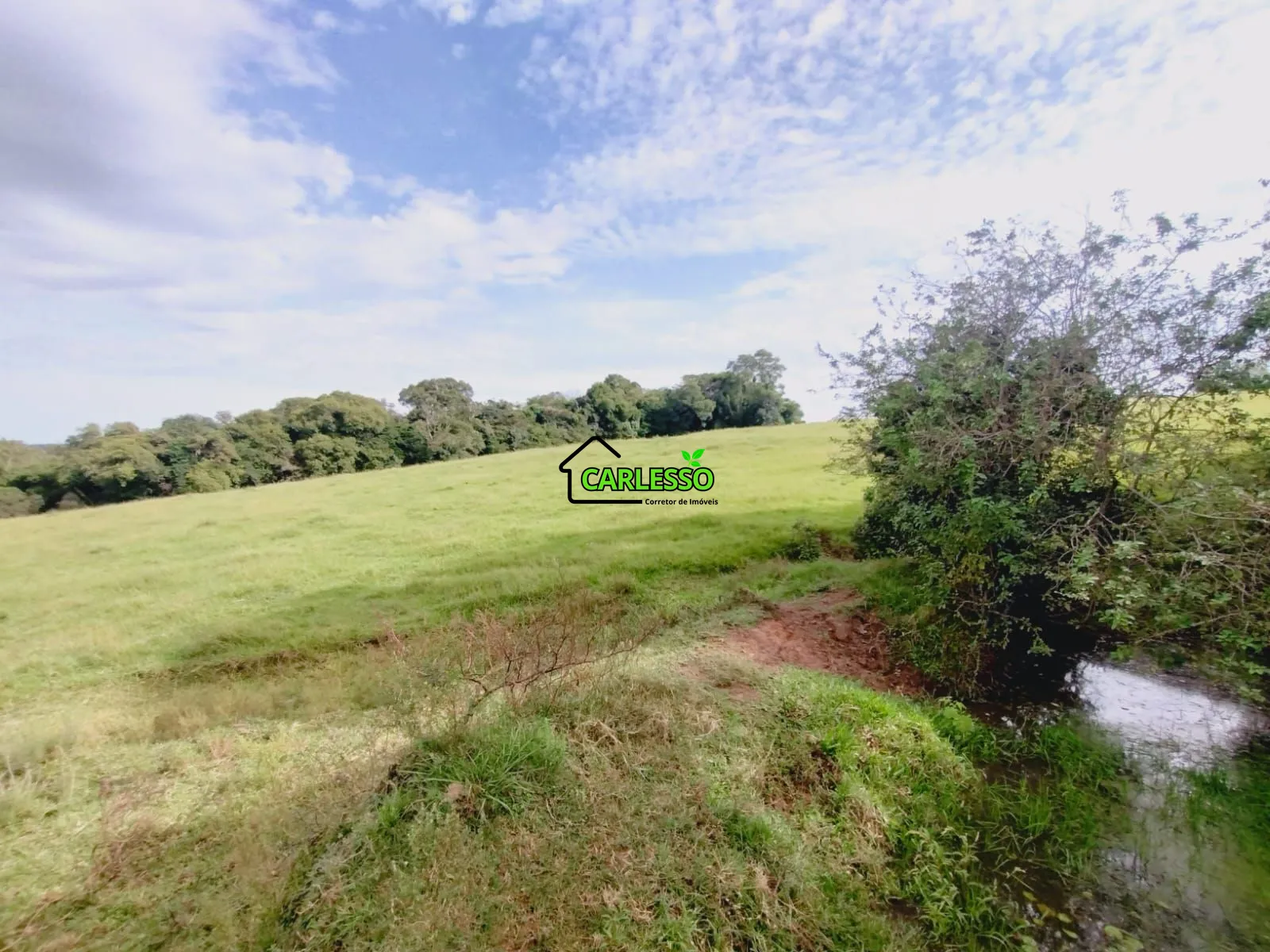 Sítio, 3 quartos, 4 hectares - Foto 41