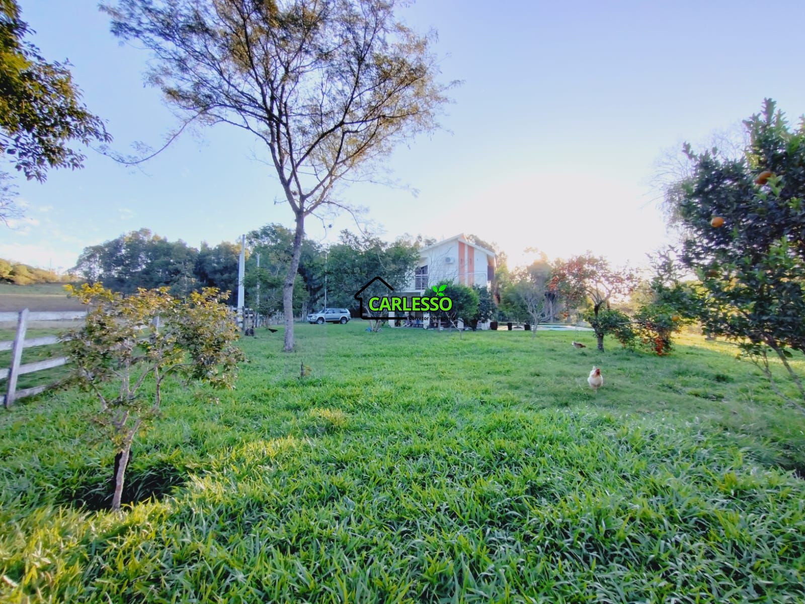 Sítio, 3 quartos, 7 hectares - Foto 7