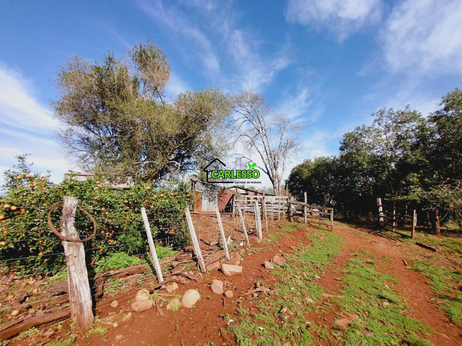Chácara, 3 quartos, 10000 m² - Foto 31