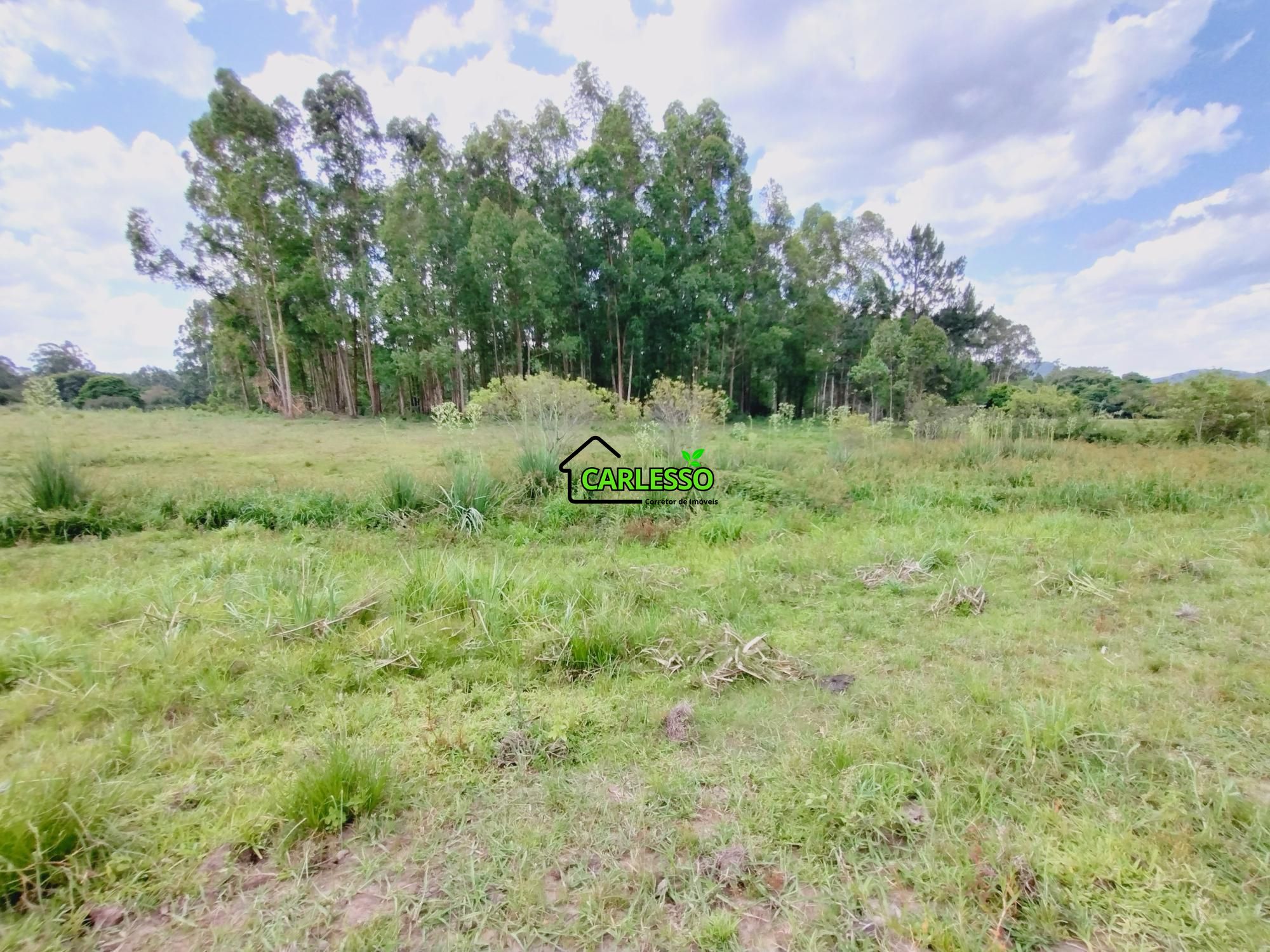 Chácara, 2 quartos, 2 hectares - Foto 36