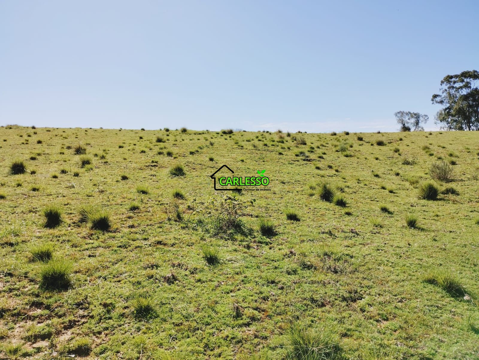 Chácara, 3 quartos, 12 hectares - Foto 26