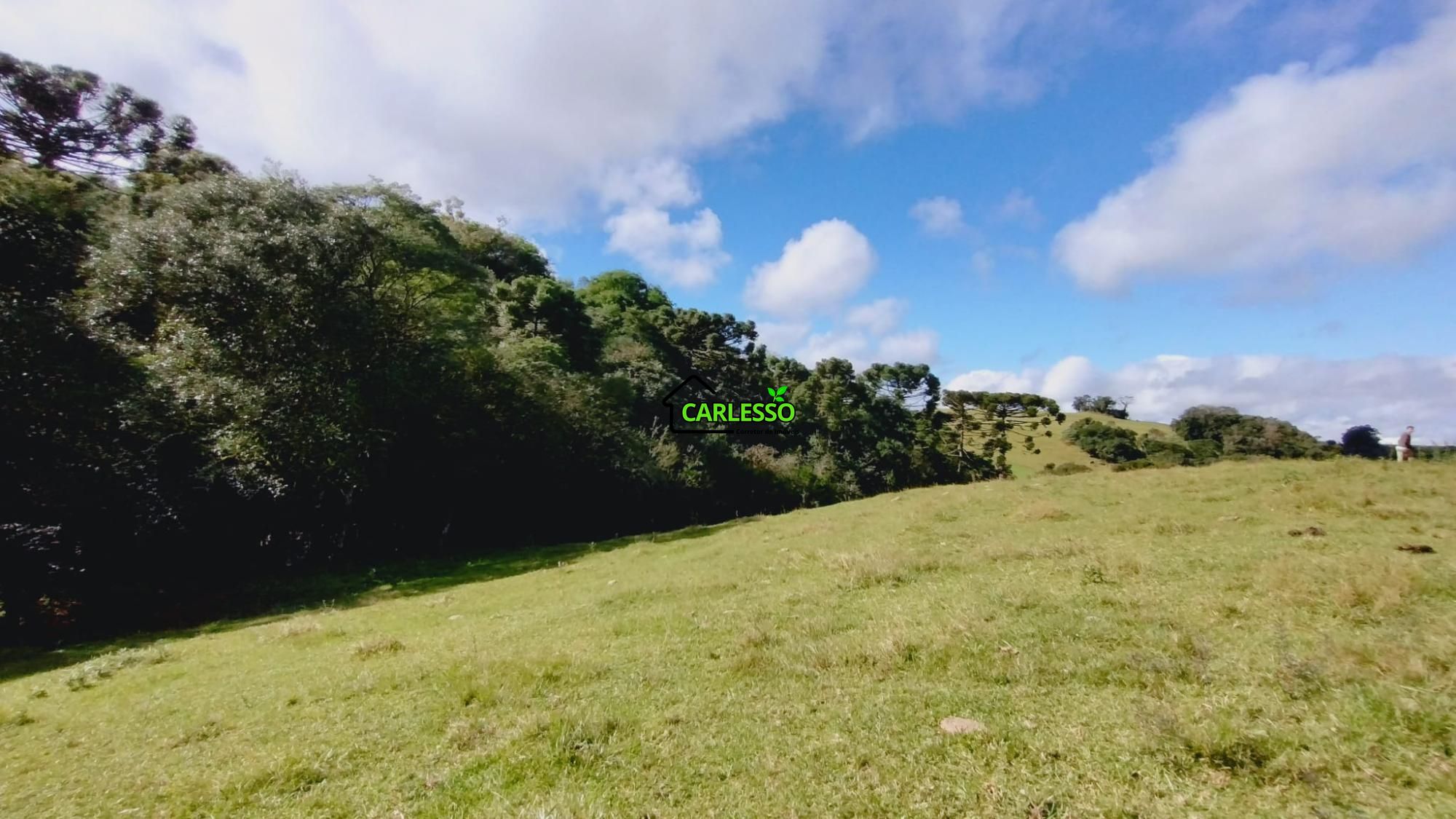 Área rural de 6 ha
