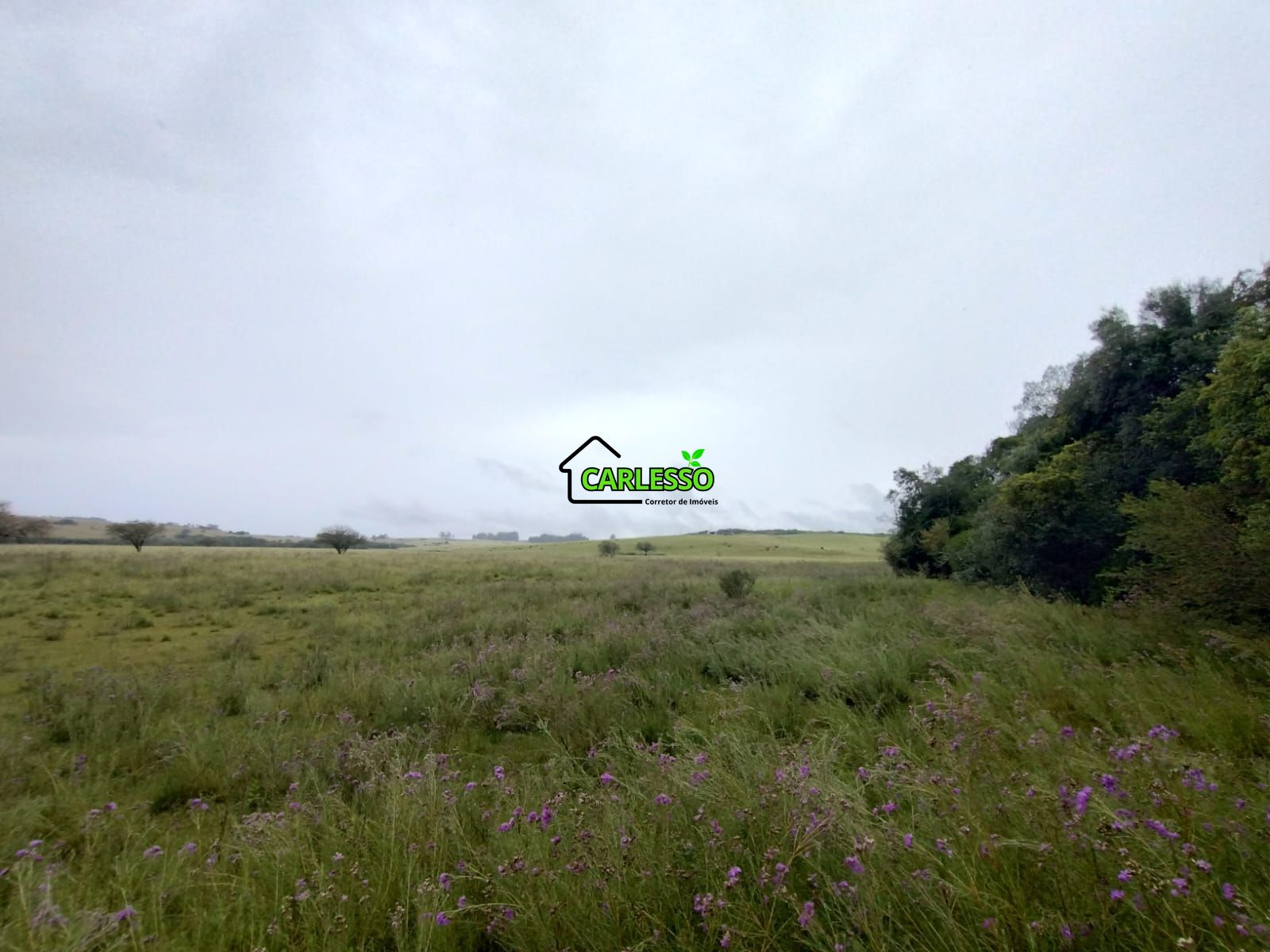Fazenda de 80 ha em Alegrete