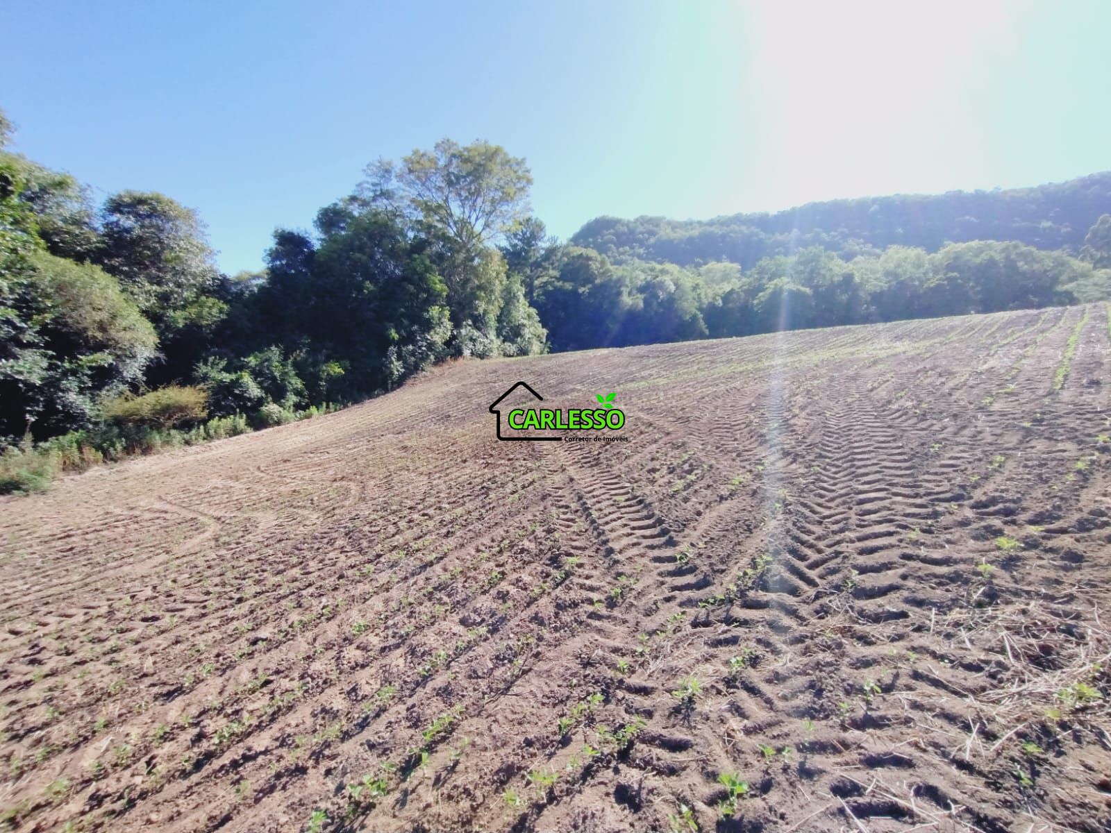 Sítio, 9 hectares - Foto 14